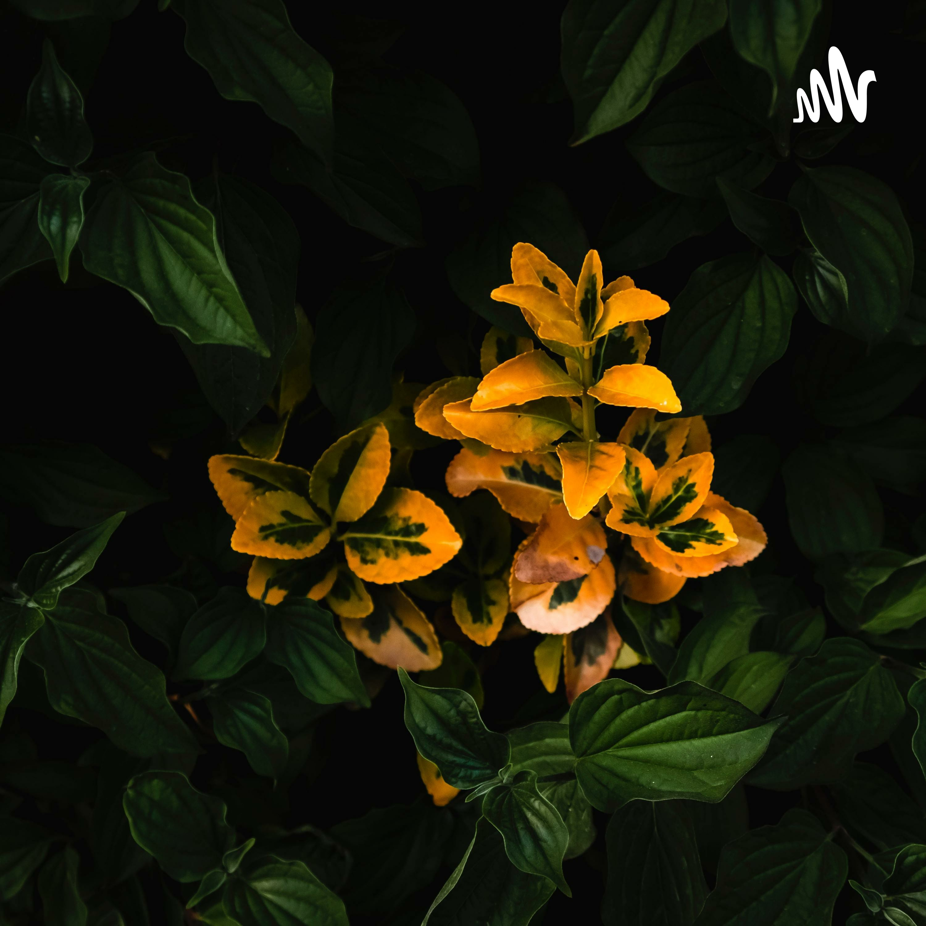 十里清风不如你