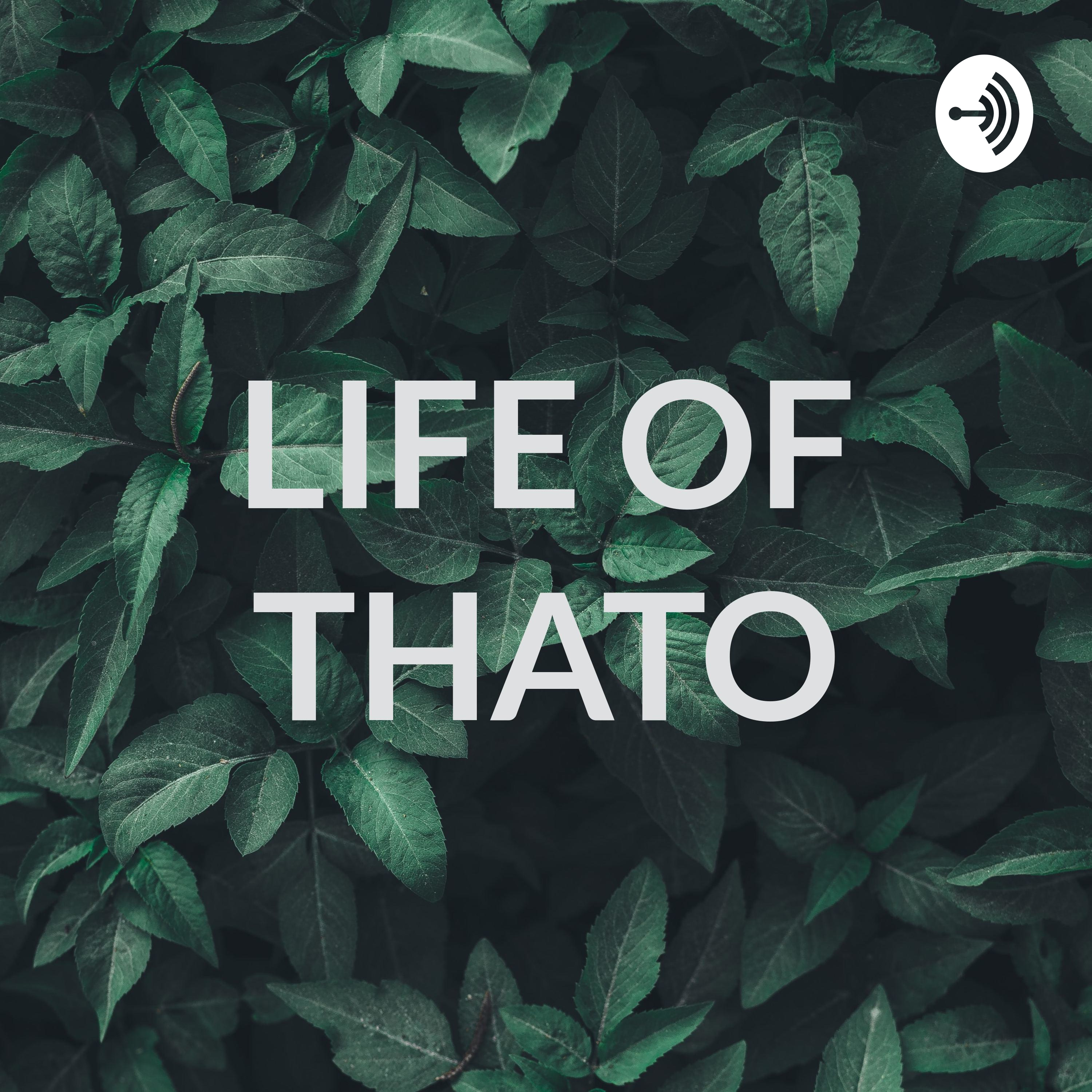 LIFE OF THATO