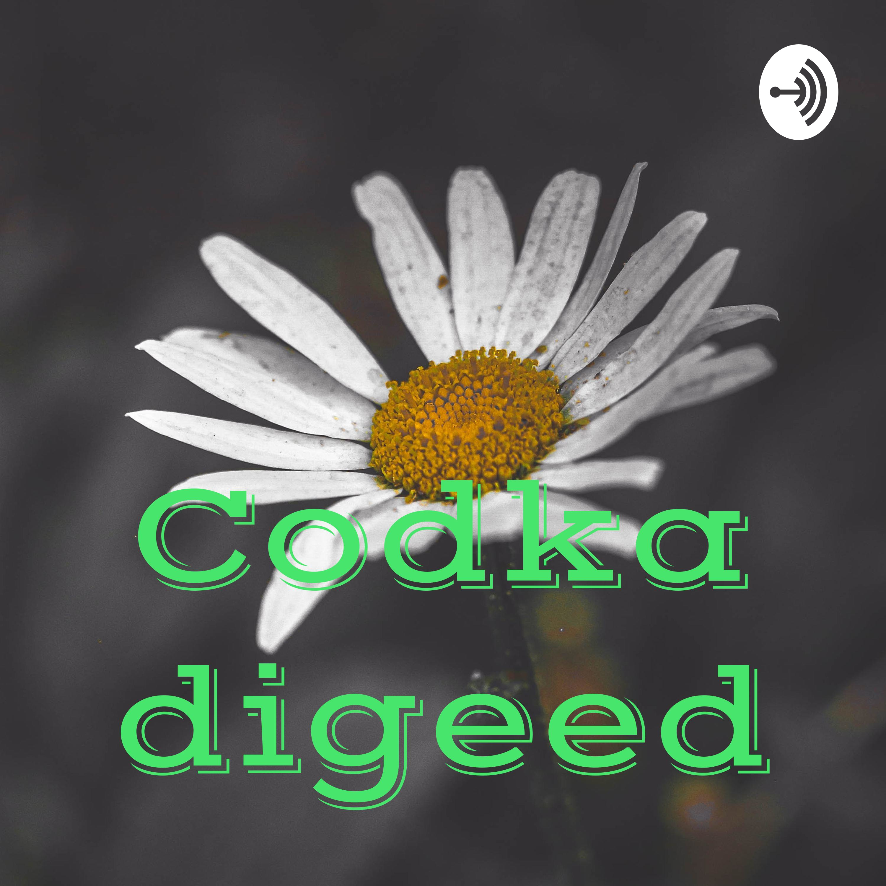 Codka digeed podcast artwork