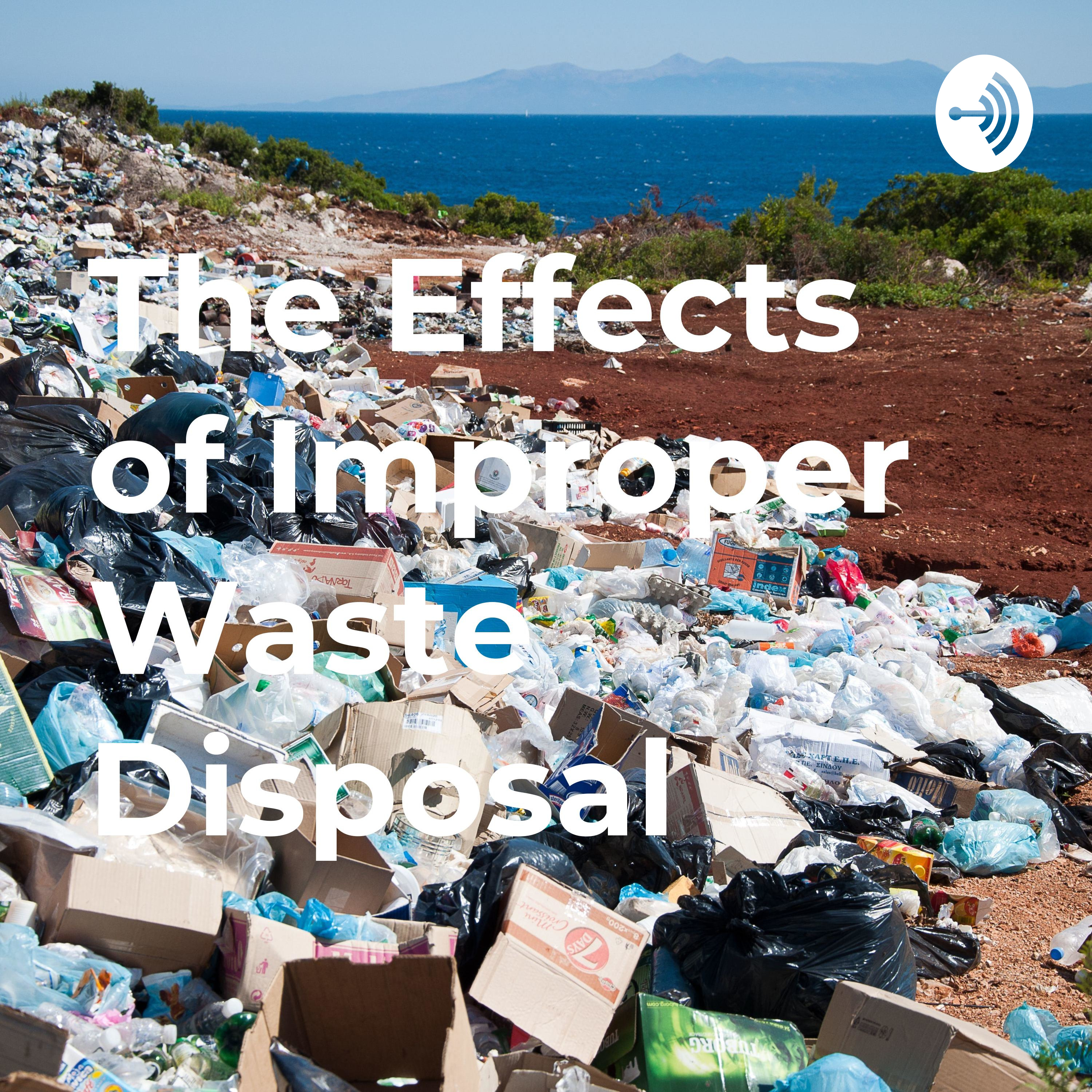 The Effects of Improper Waste Disposal