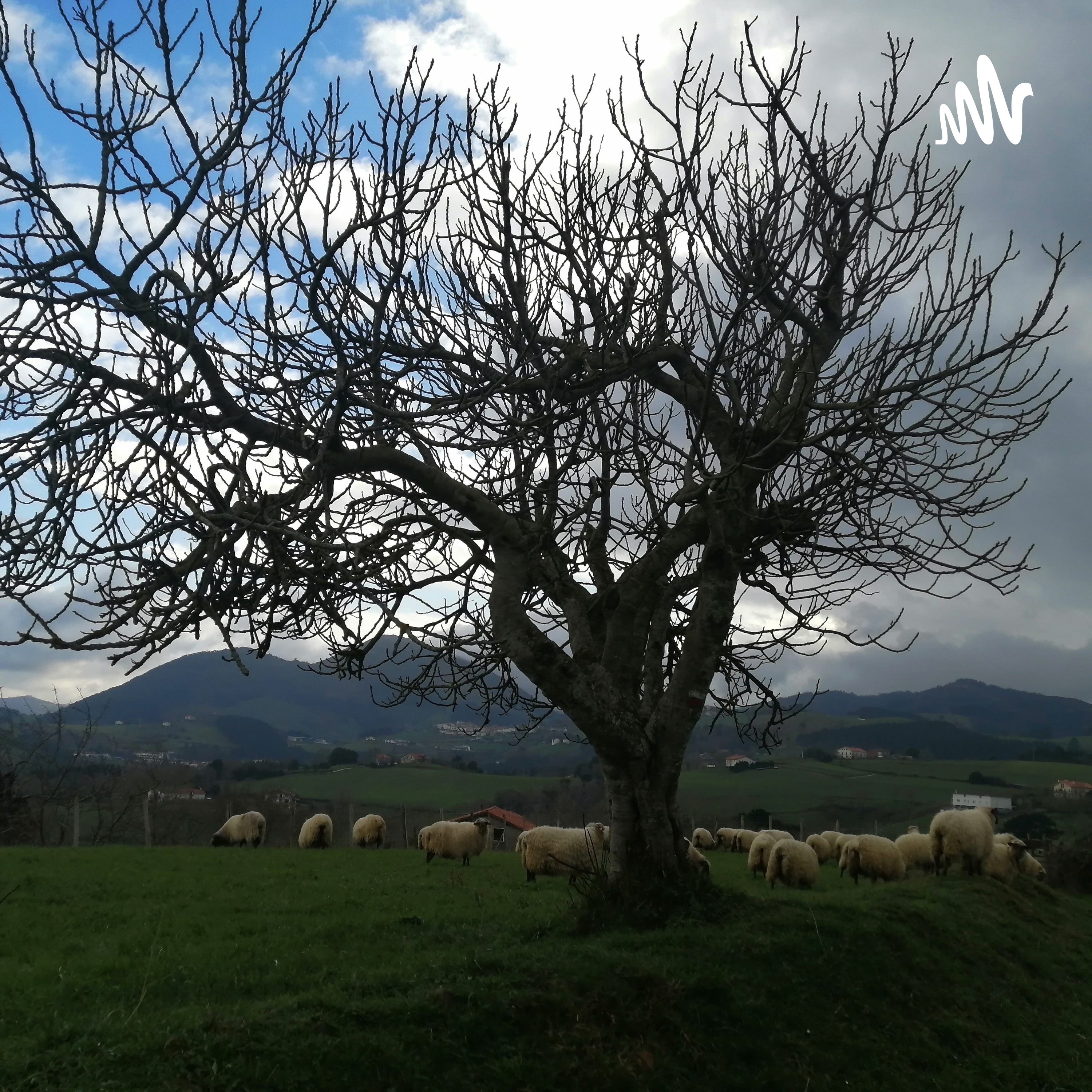 Hablemos De: CUIDARTE