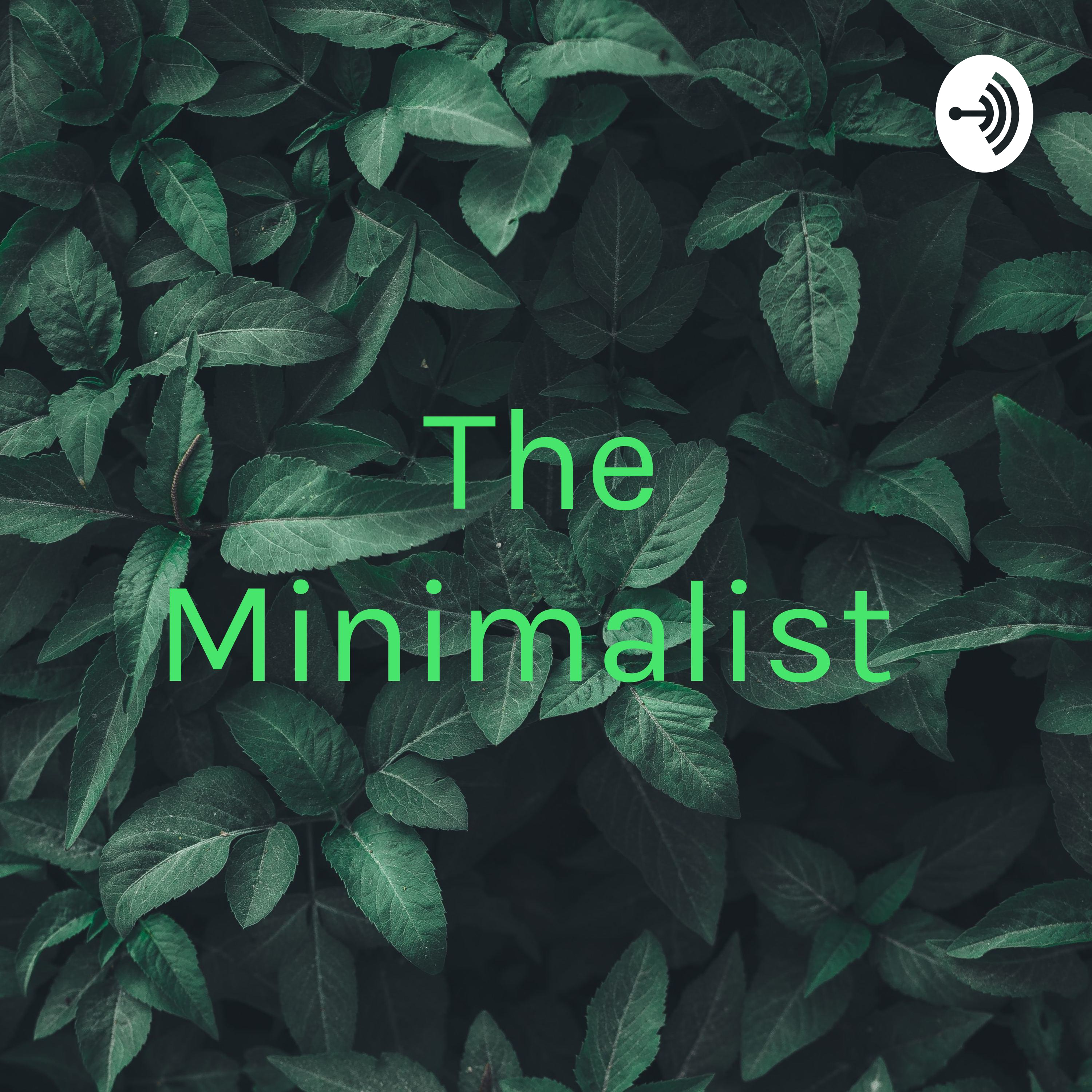 The Minimalist : Andile