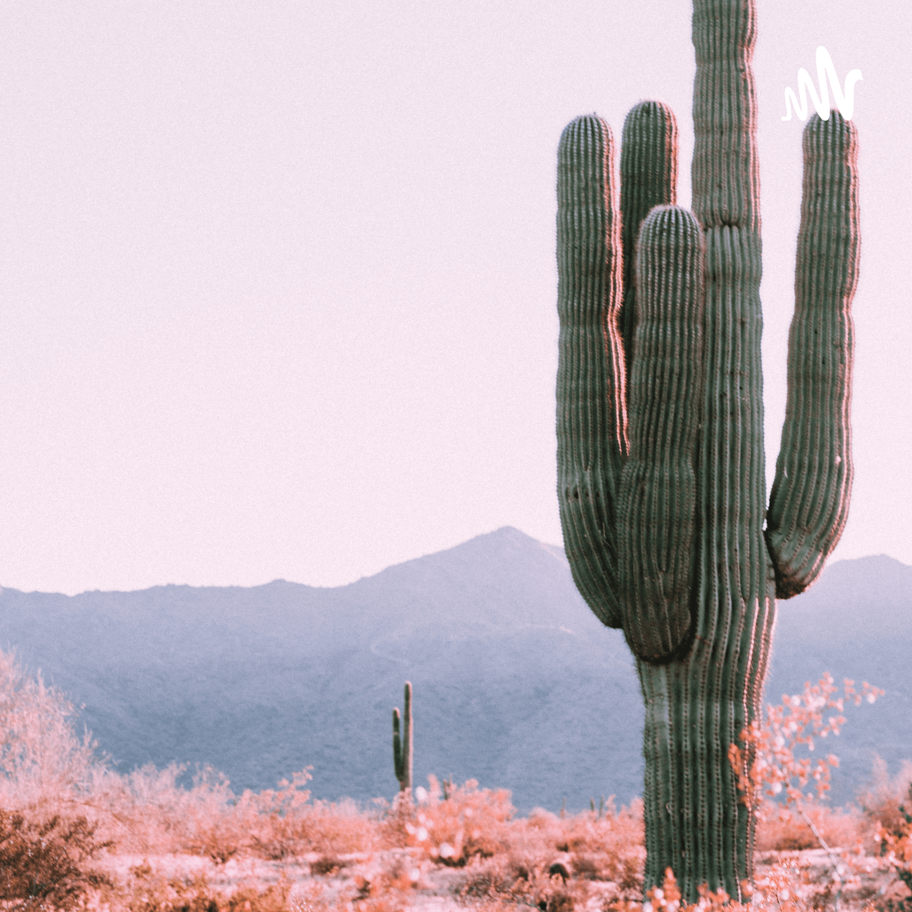Cactus Country
