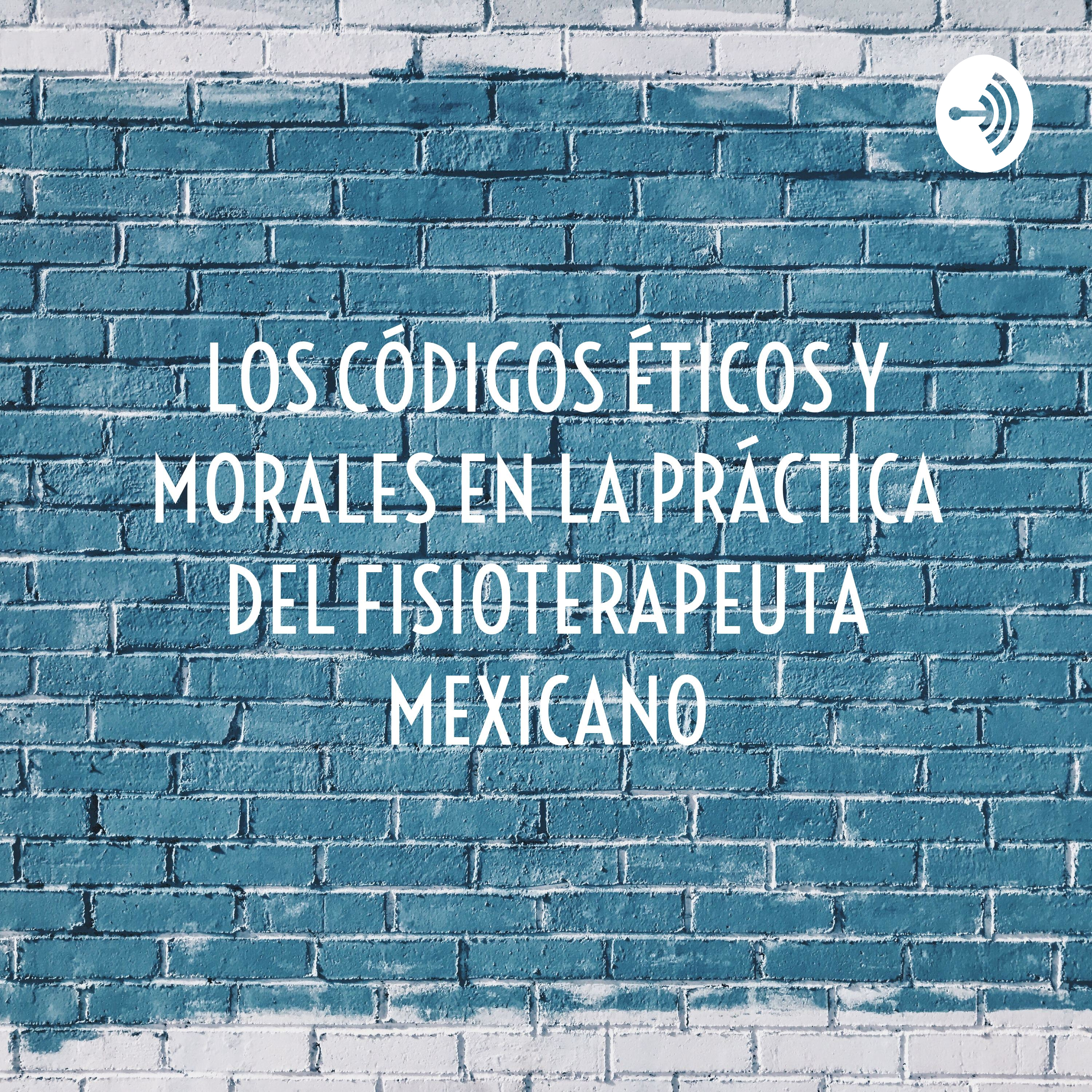 LOS CÓDIGOS ÉTICOS Y MORALES EN LA PRÁCTICA DEL FISIOTERAPEUTA MEXICANO