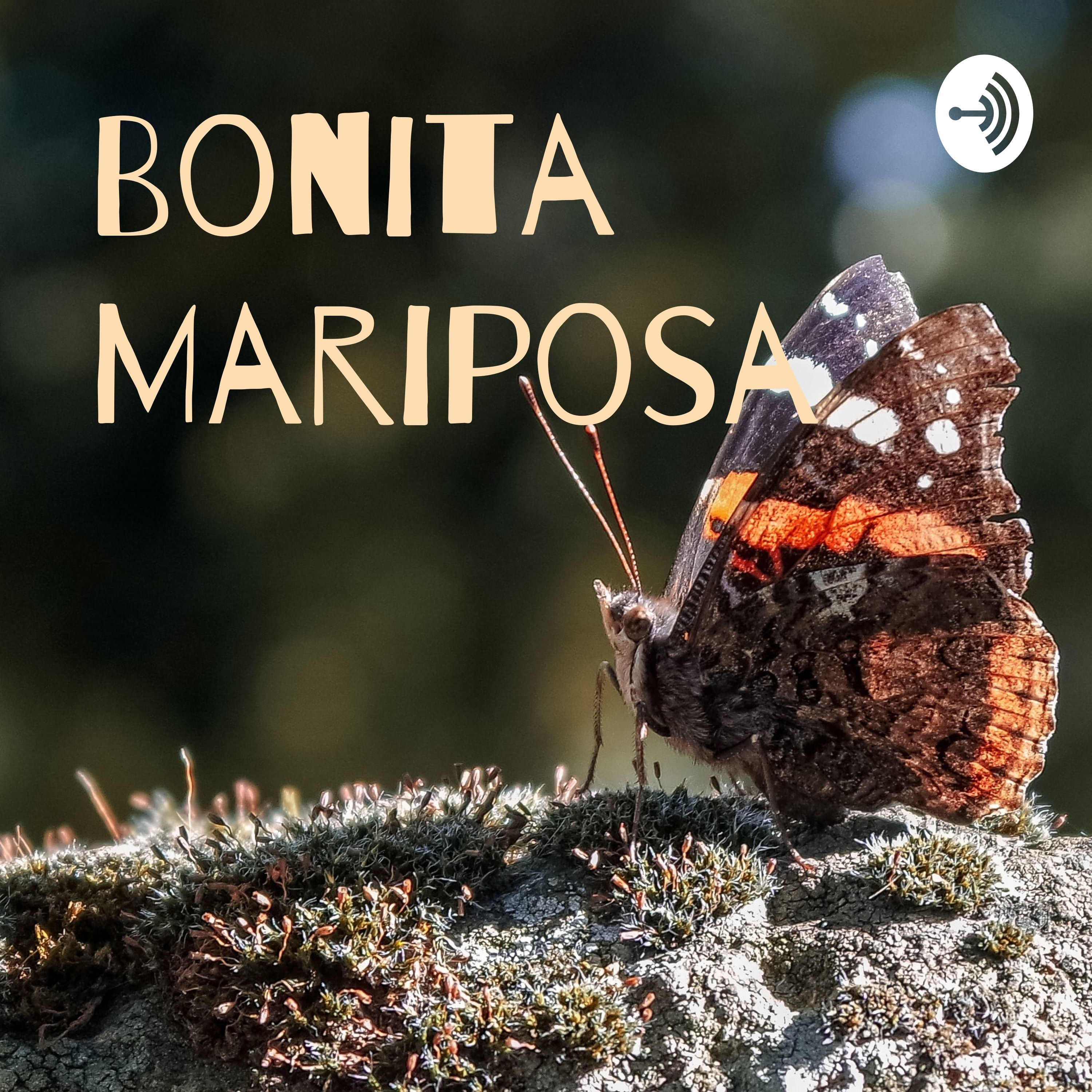 Bonita Mariposa