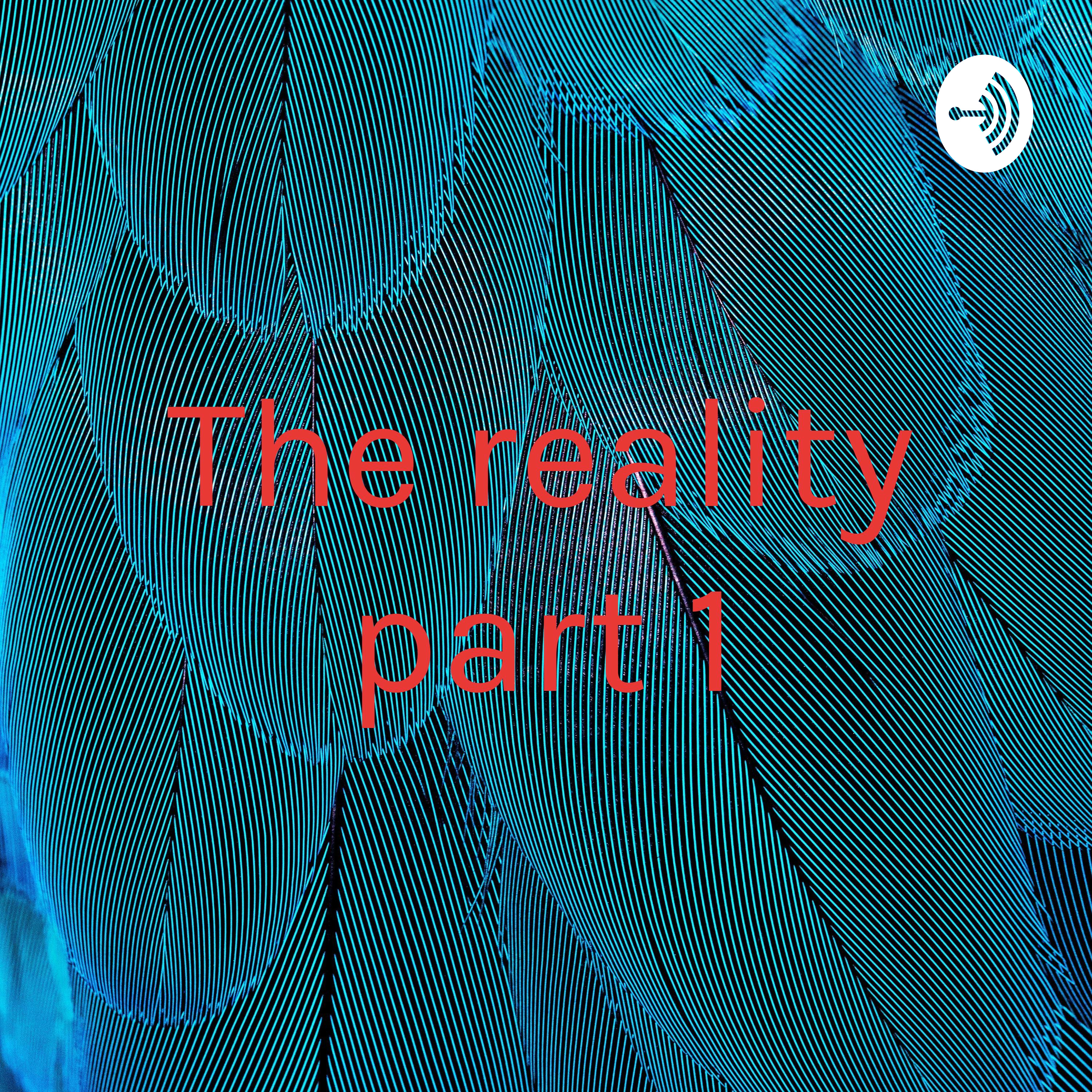 The reality part 1