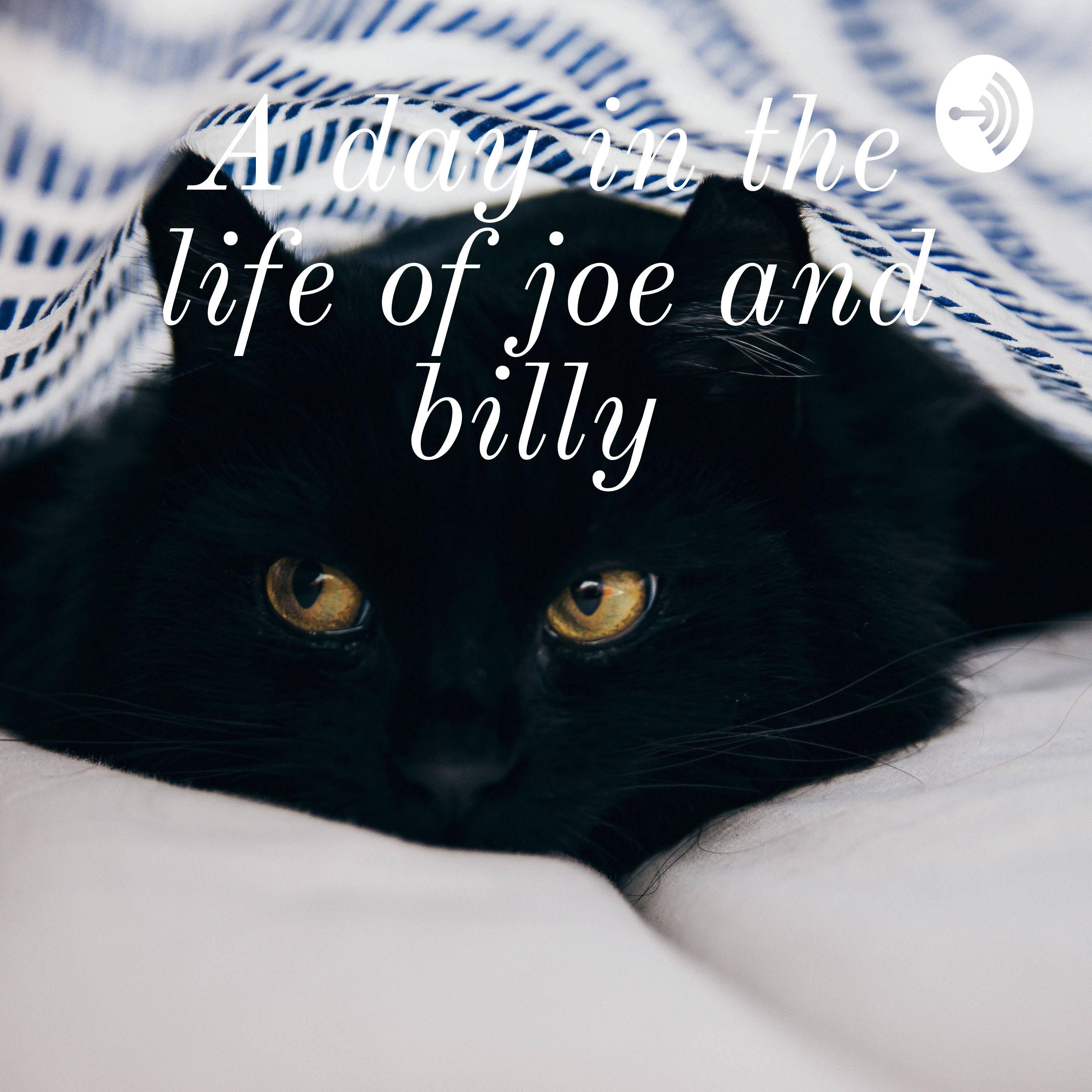 A day in the life of joe and billy 