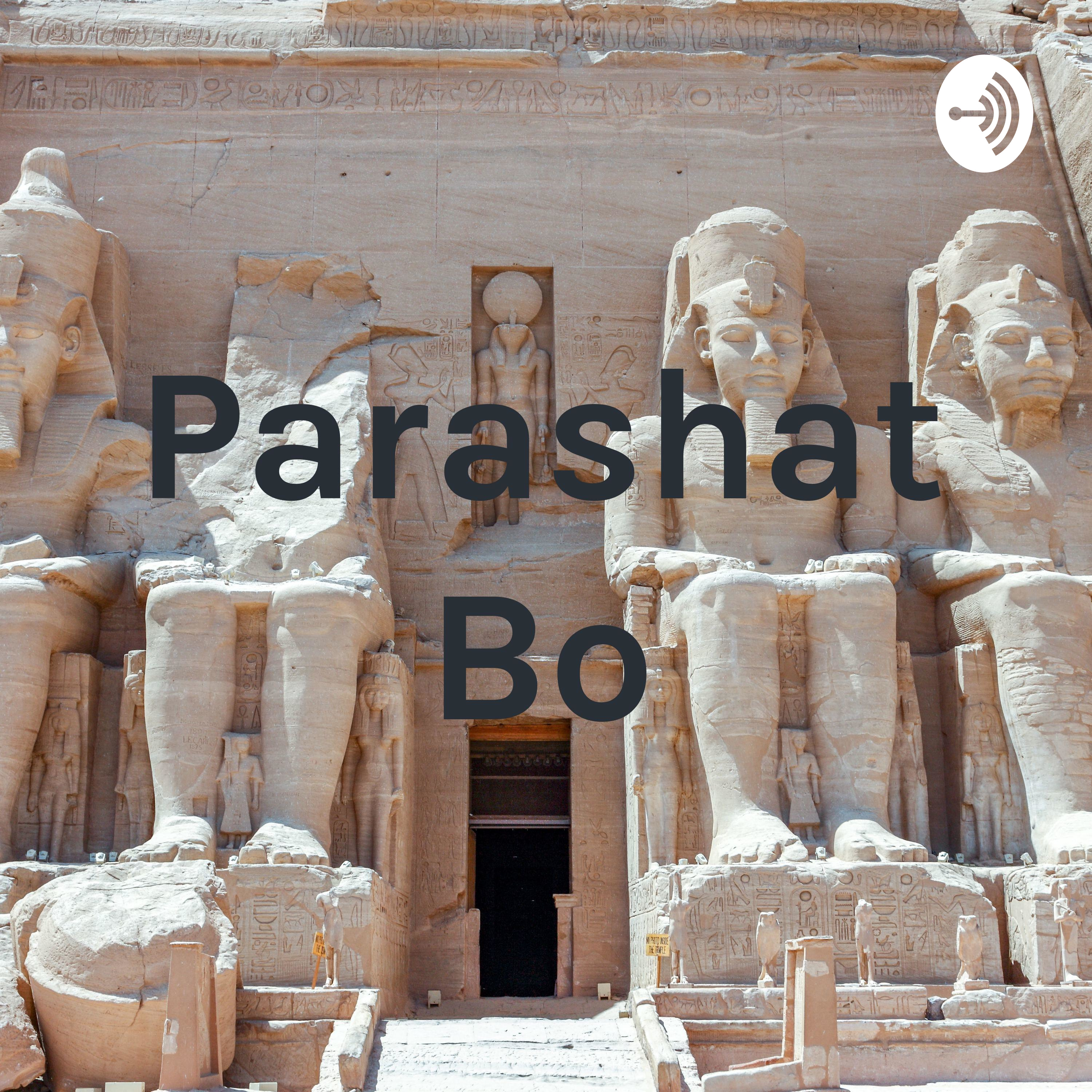 Parashat Bo