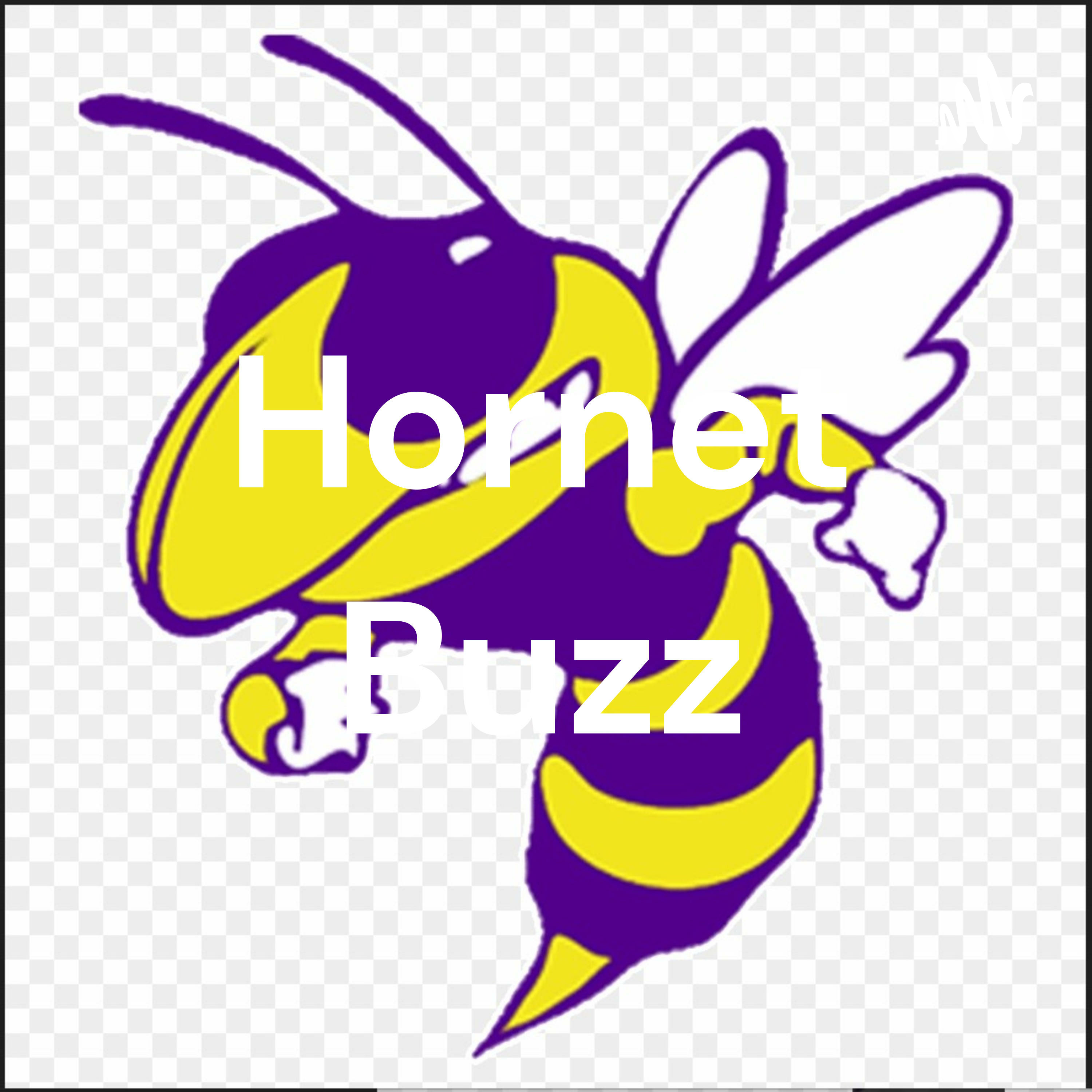 Hornet Buzz