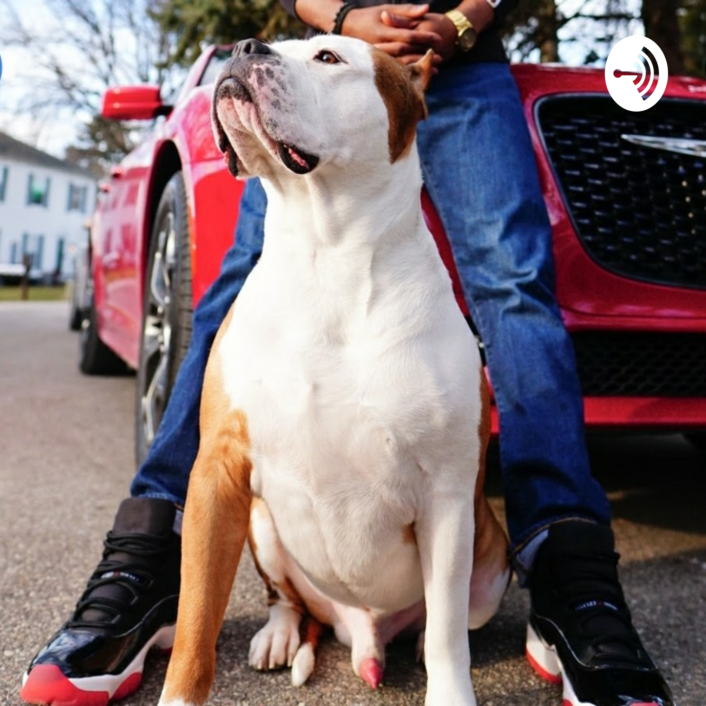 Life of Love...😒LoL😏