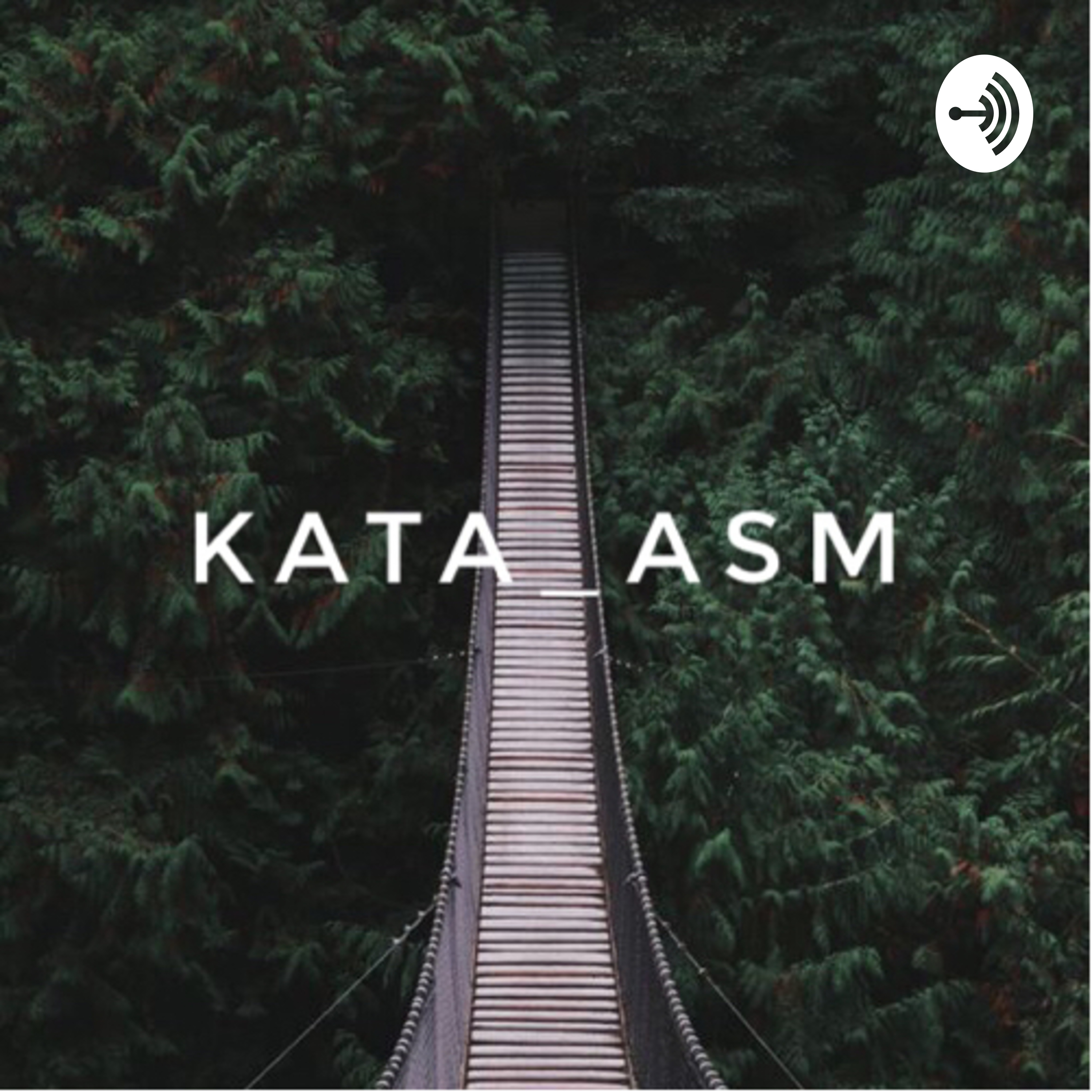 Kata_ASM