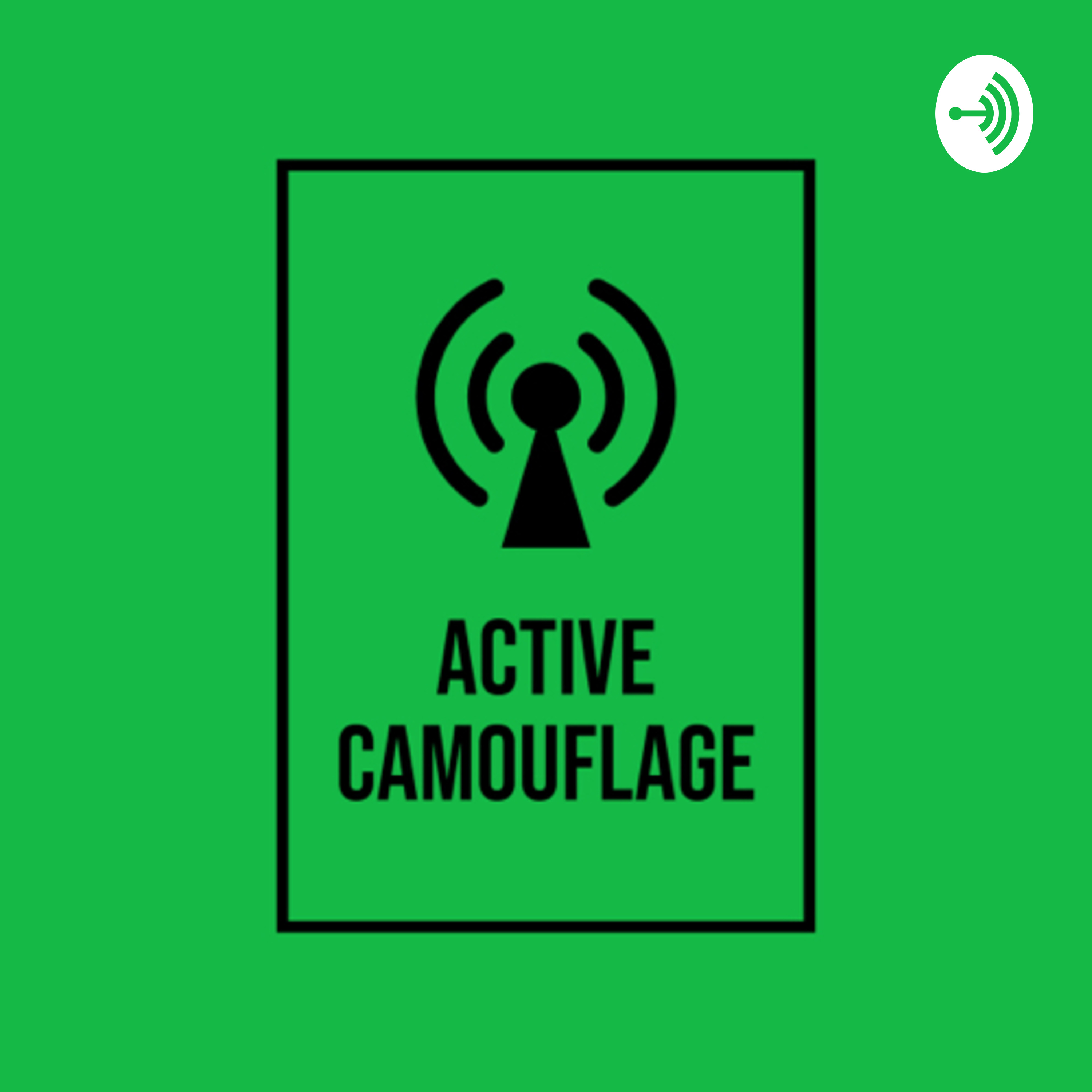 Active Camouflage