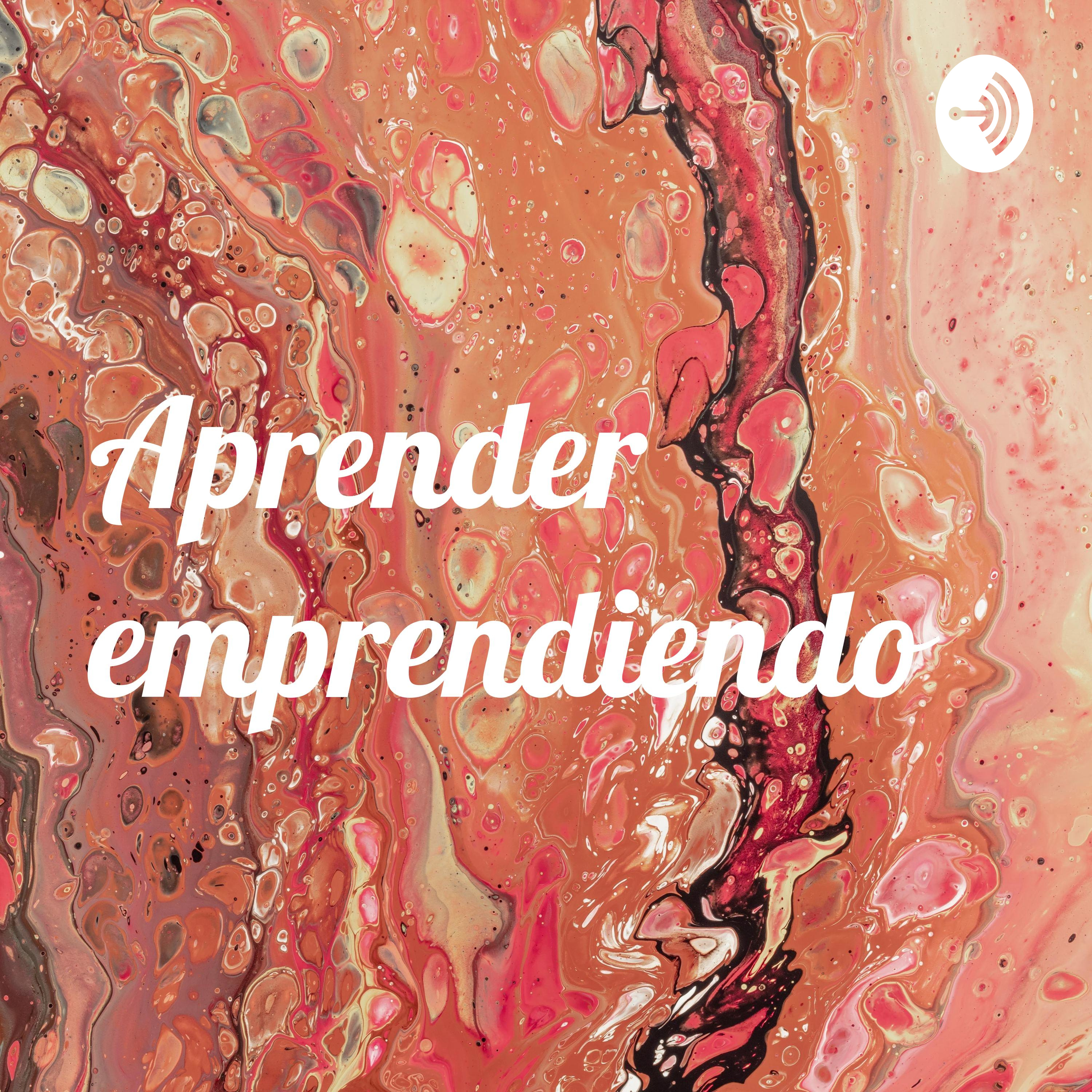 Aprender emprendiendo