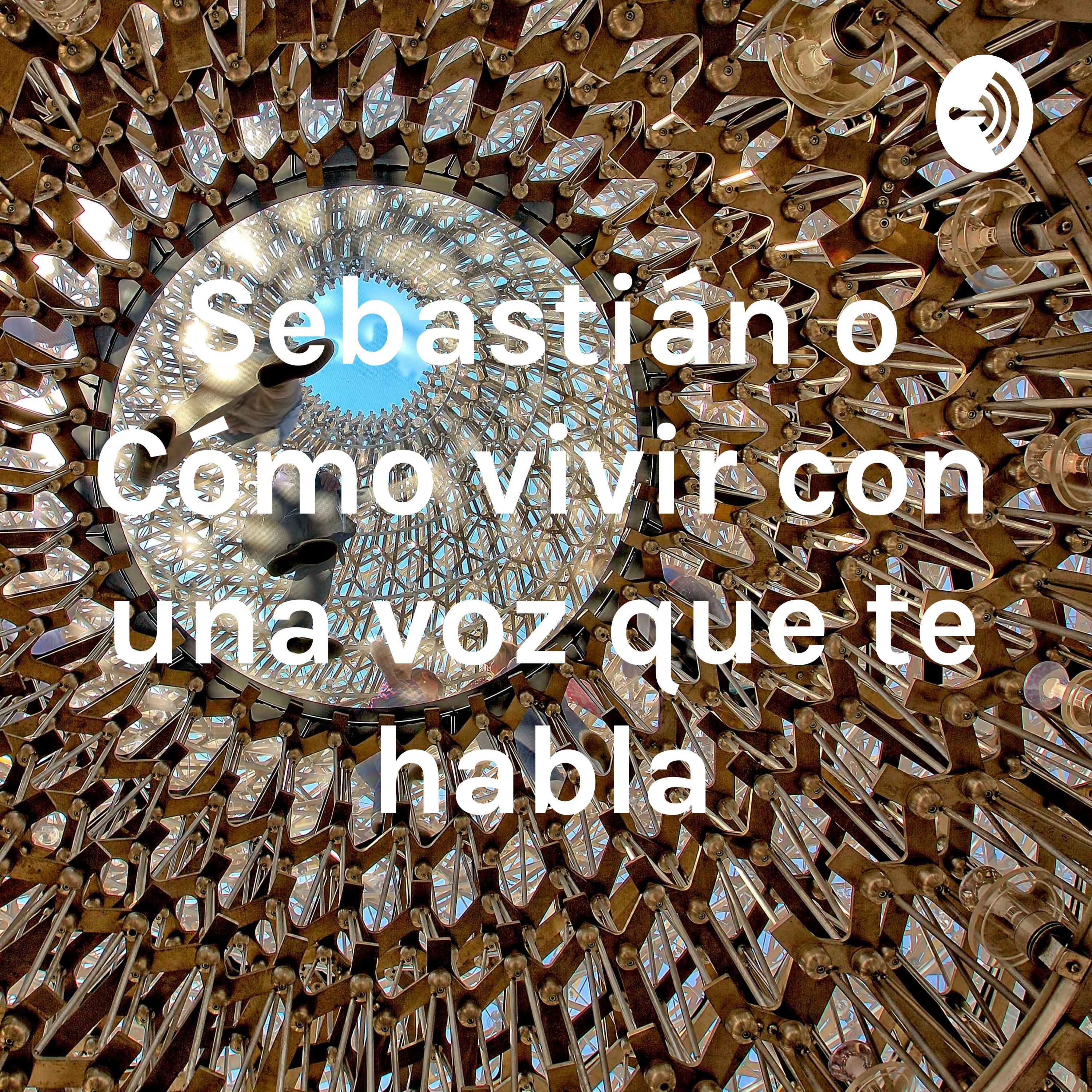 Crónicas Psi: "Sebastián o Cómo vivir con una voz que te habla"