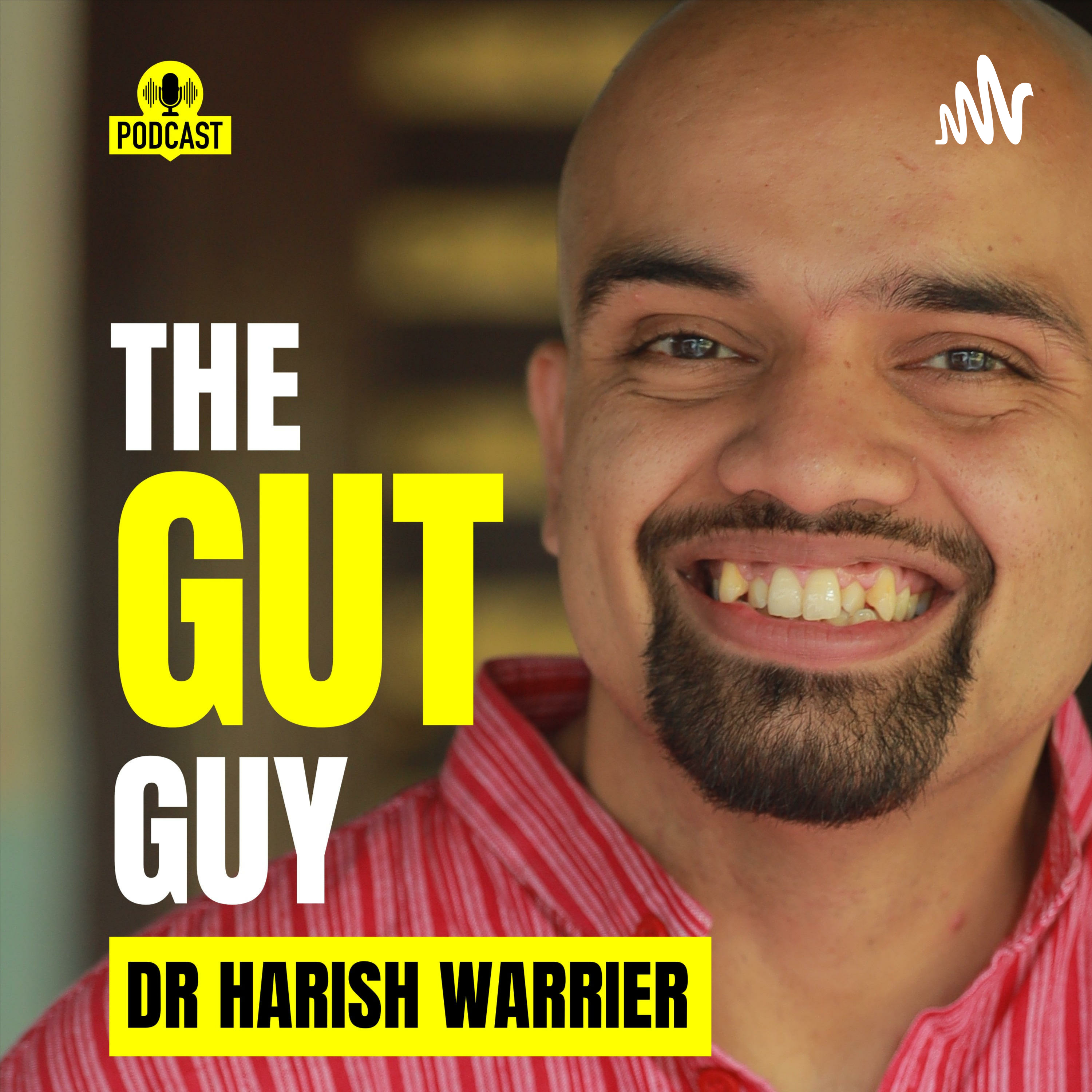The Gut Guy