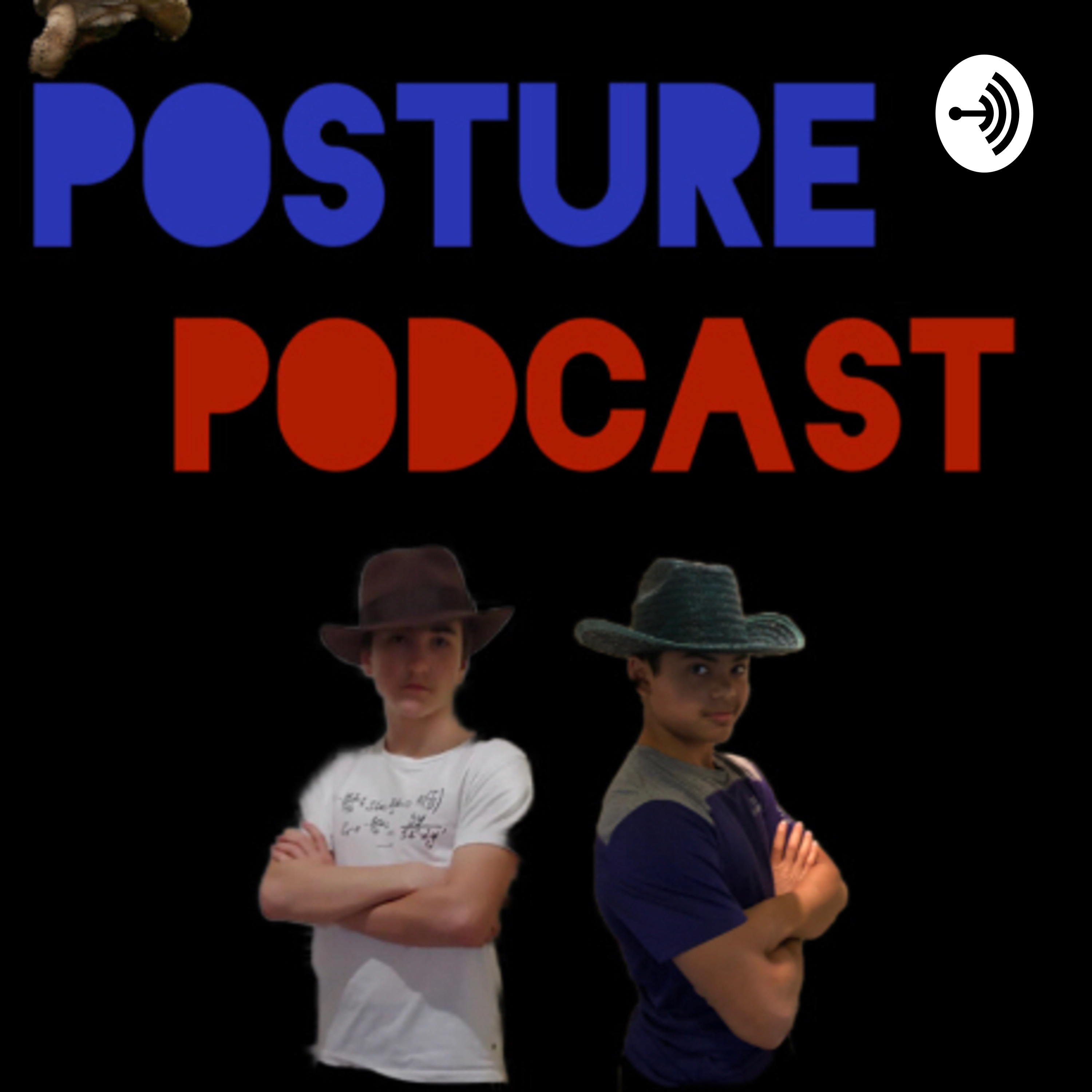 The Posture Podcast