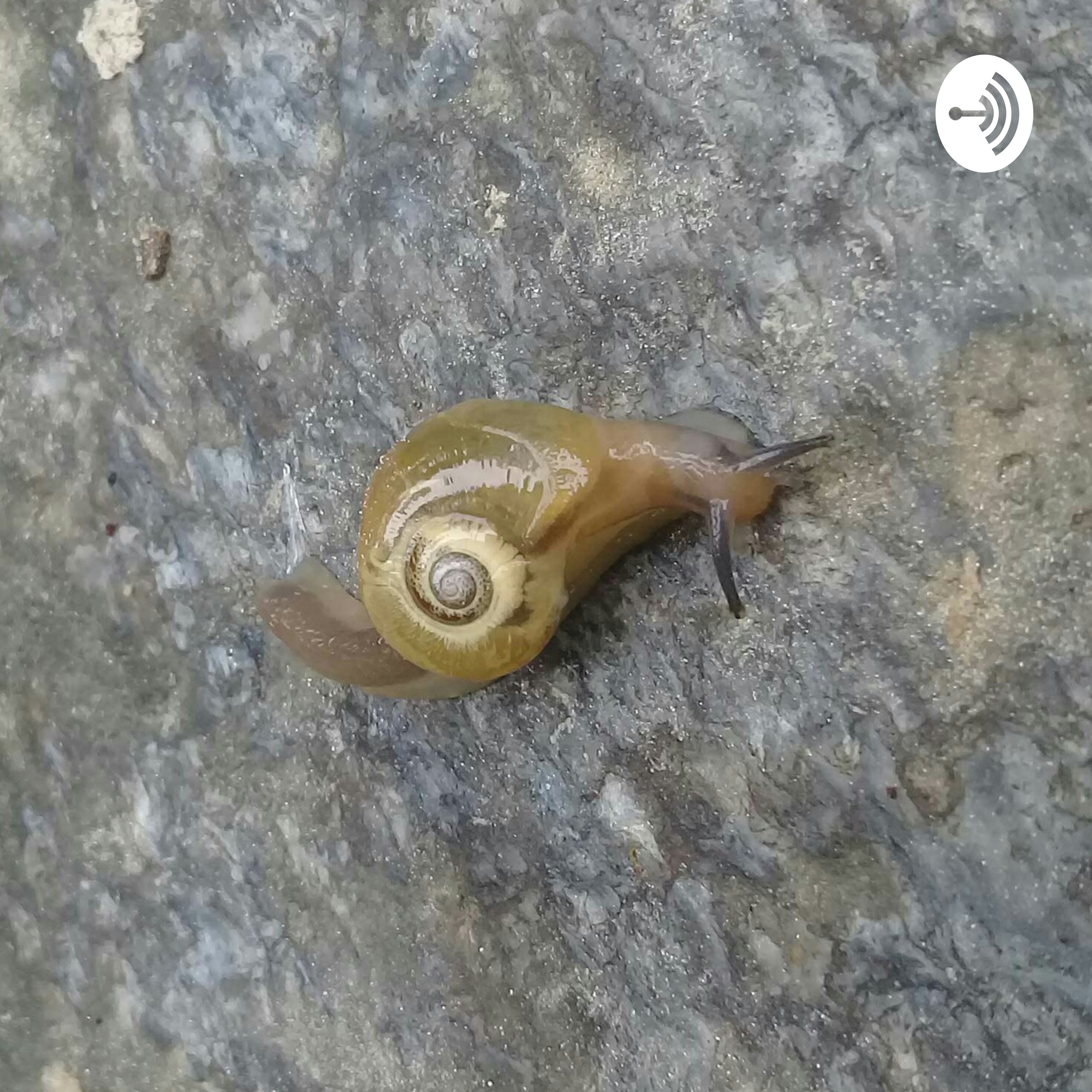 Life At 20 with Vidhya