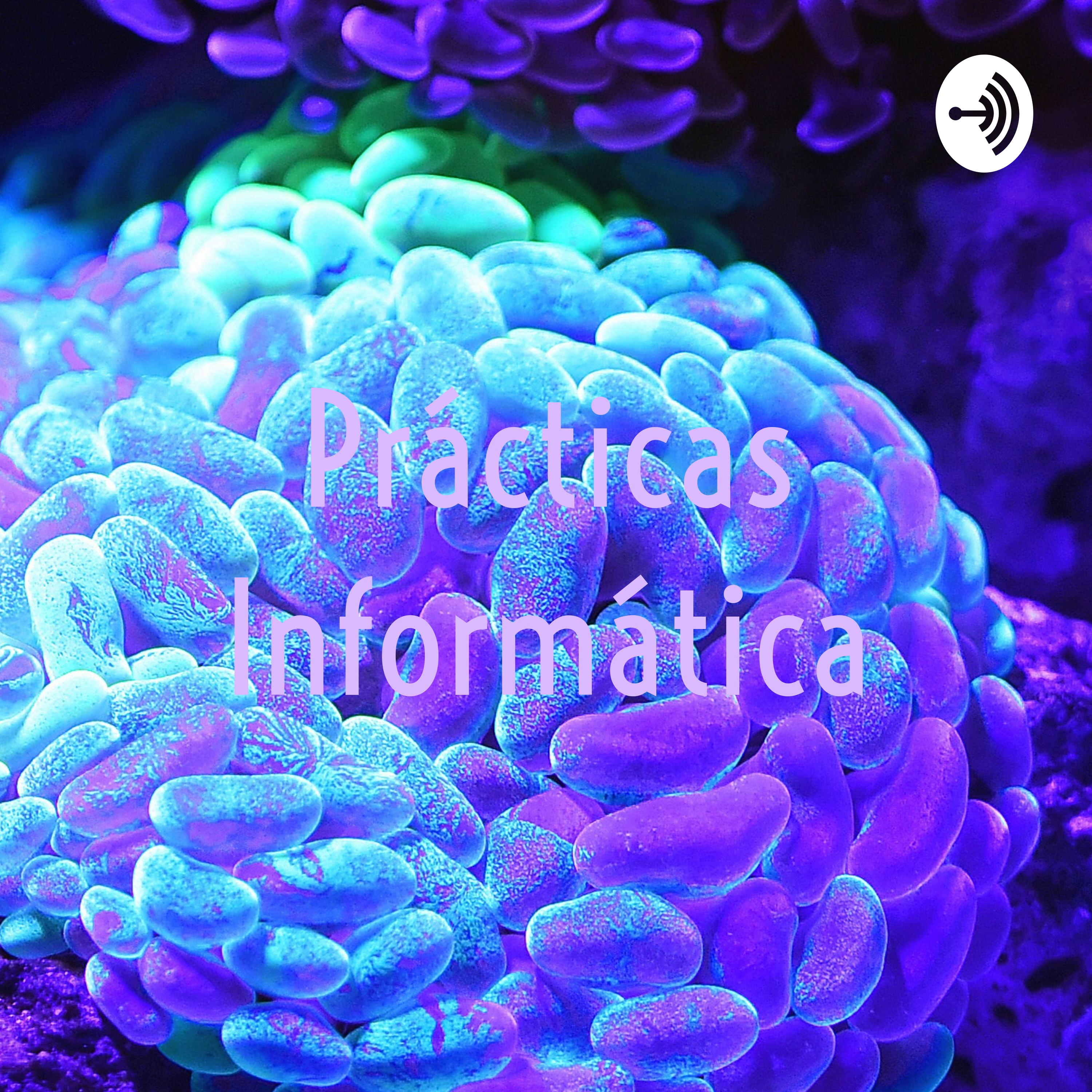 Prácticas Informática