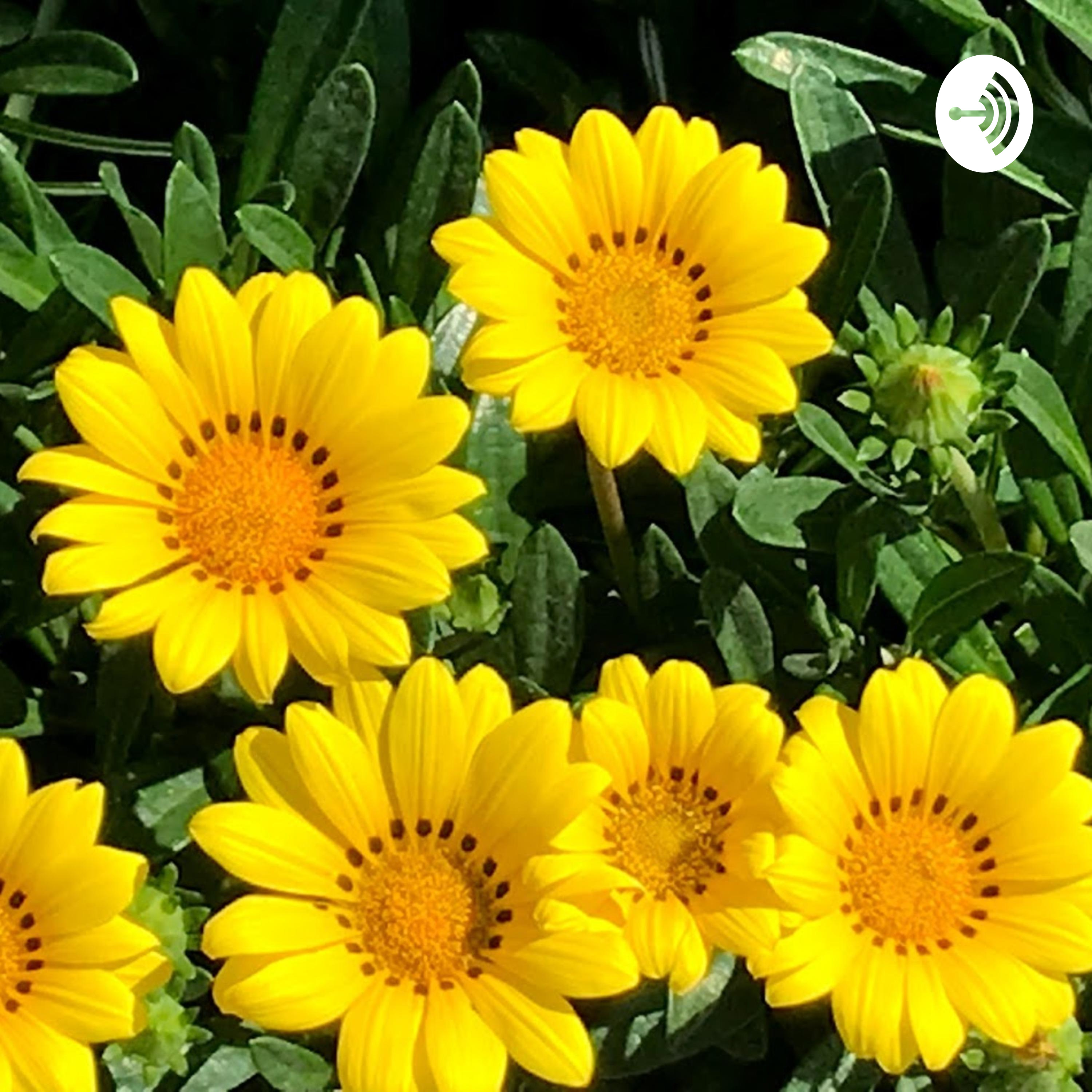 Profjcb recording studios Profjcb recording studios