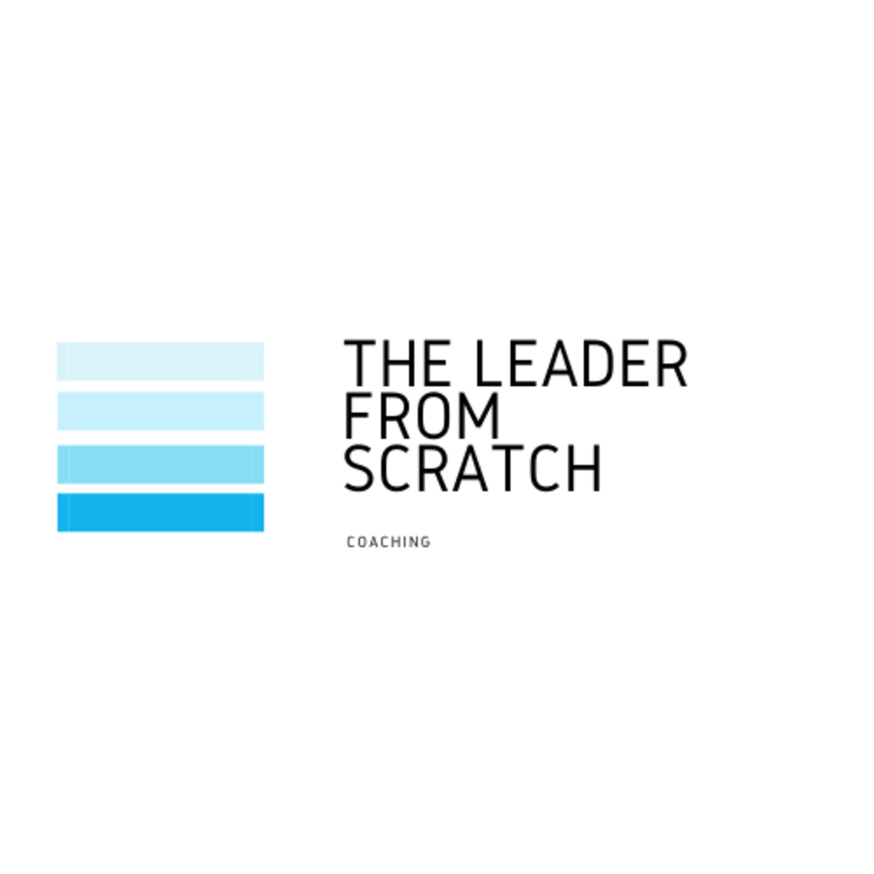 TLFS (The Leader From Scratch)