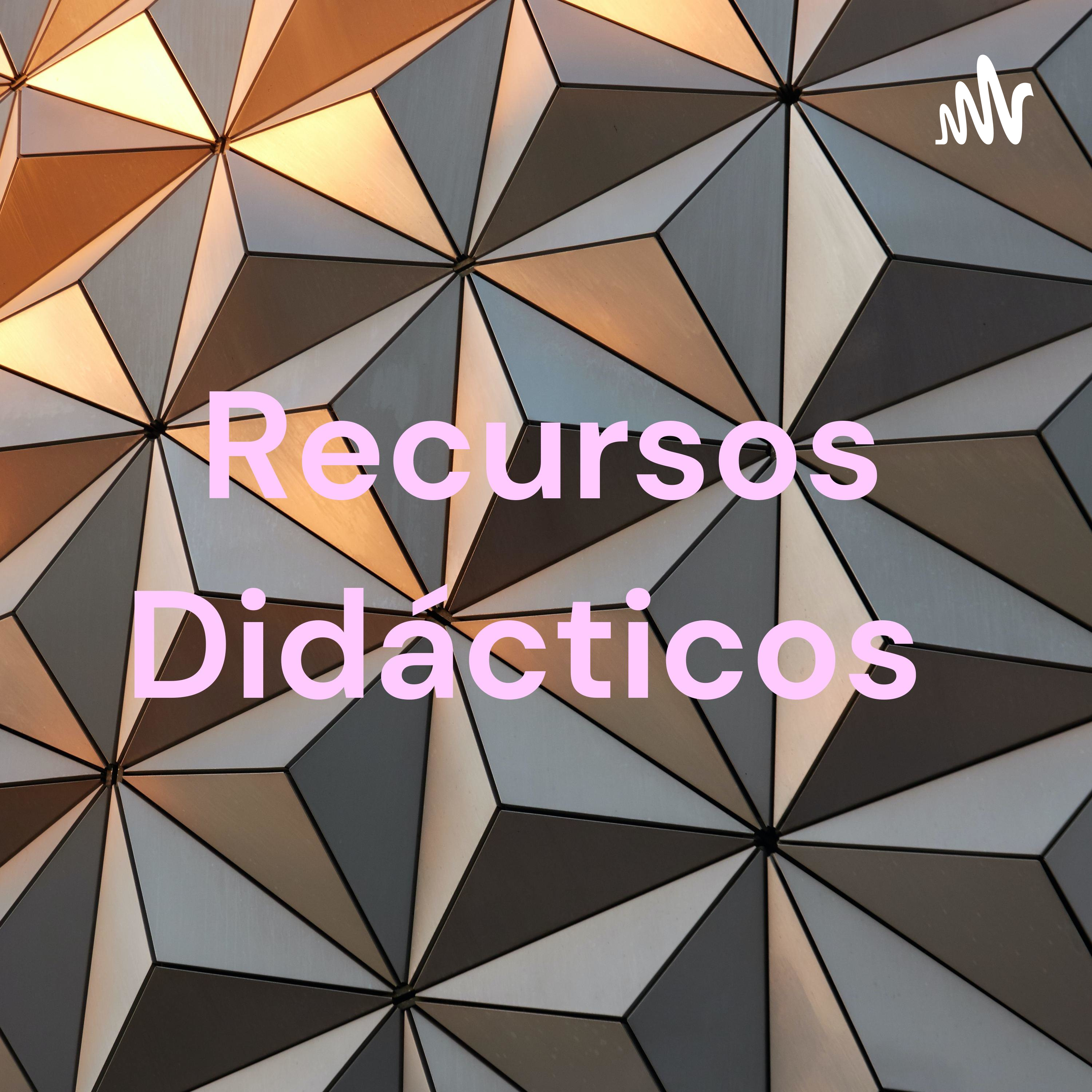 Recursos Didácticos 