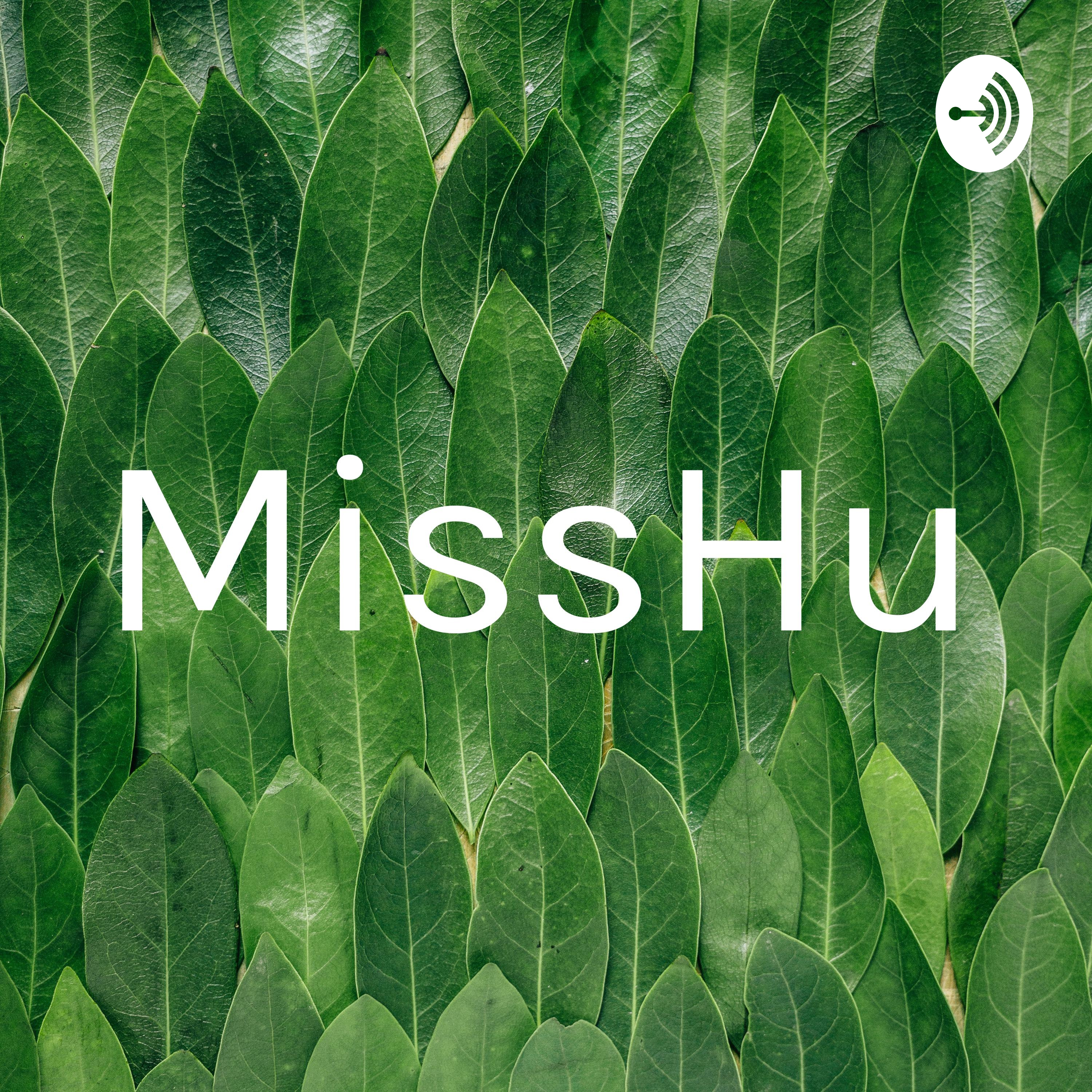 Learning hsk 1 vocabulary