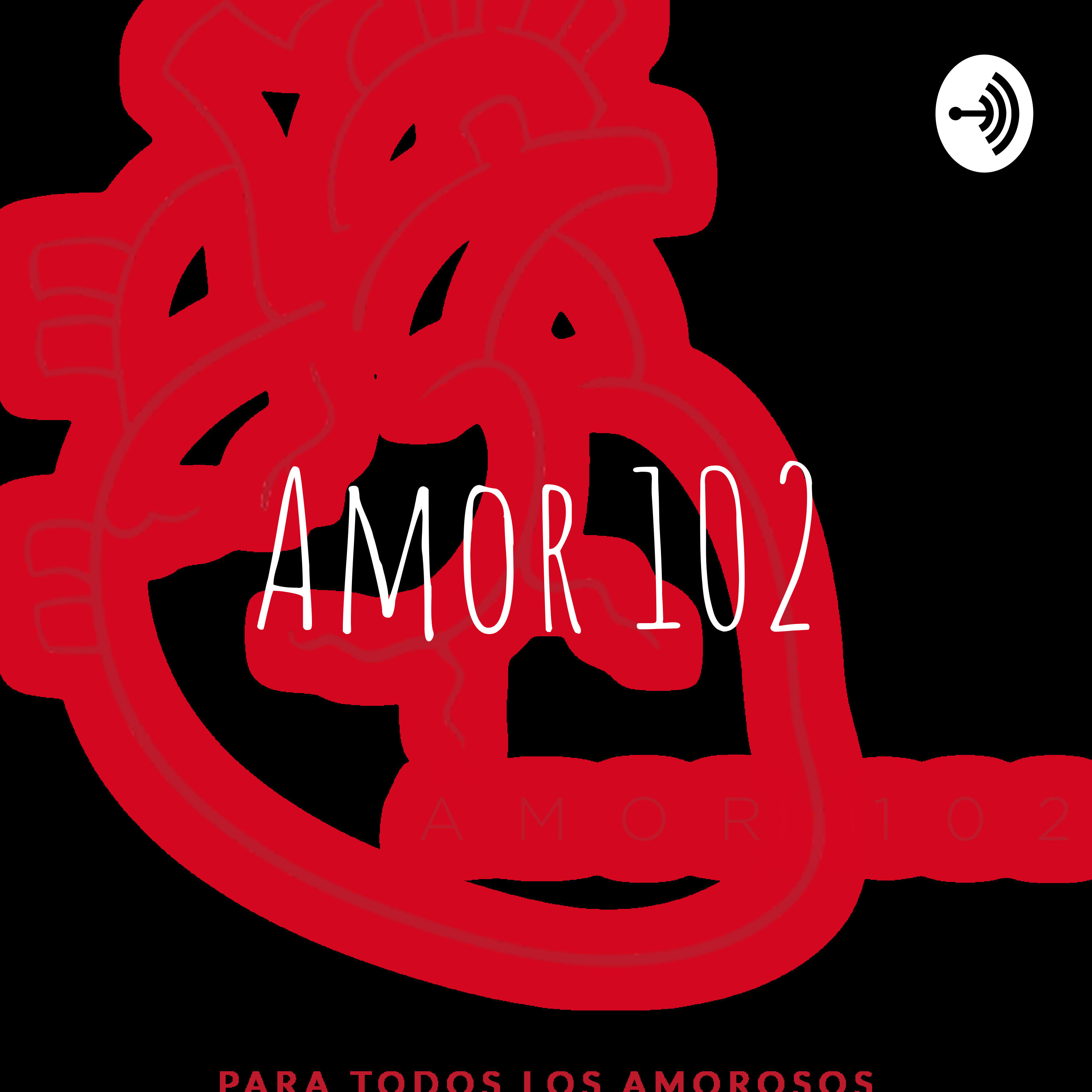 Amor 102