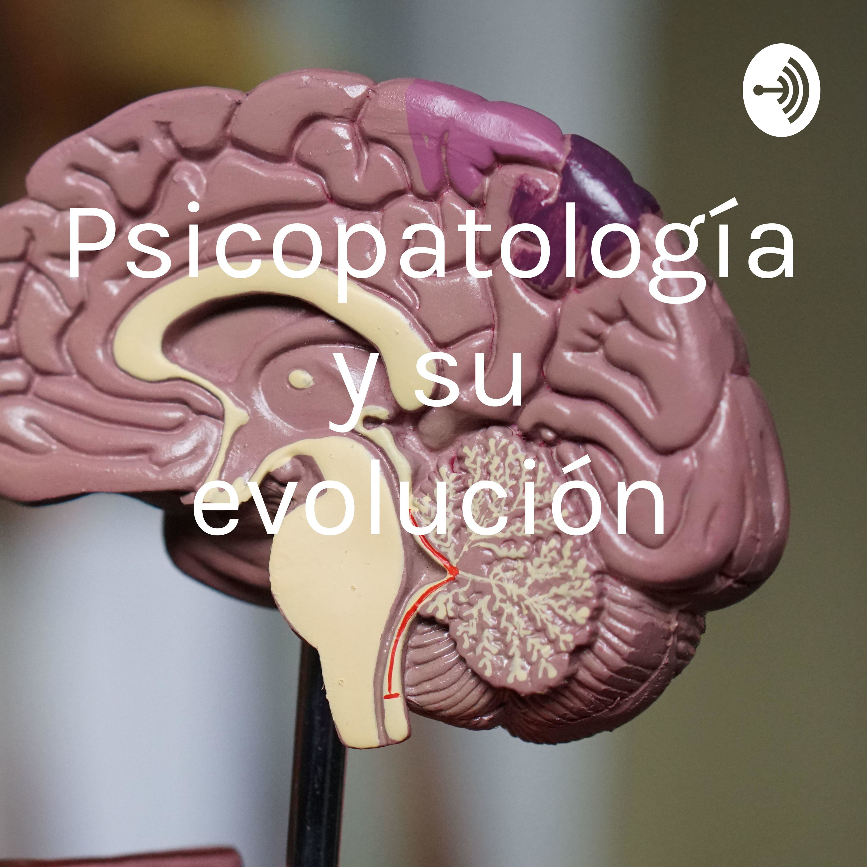 Psicopatología y su evolución 