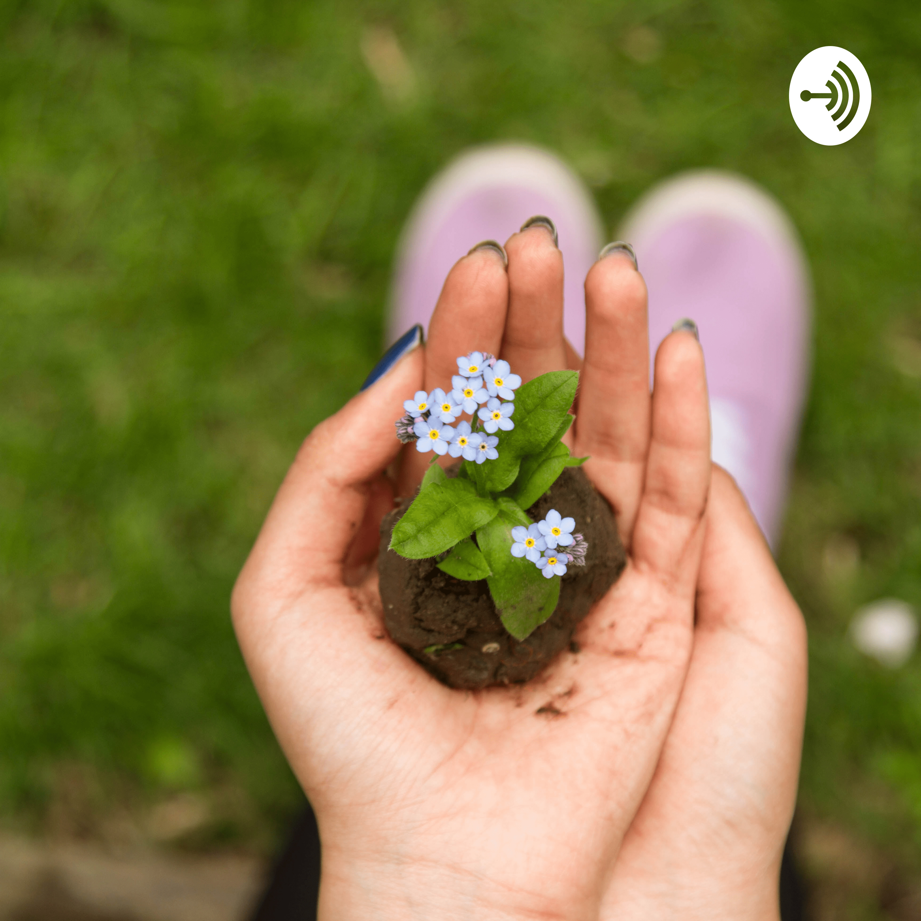 The Nilesh Kumar Podcast