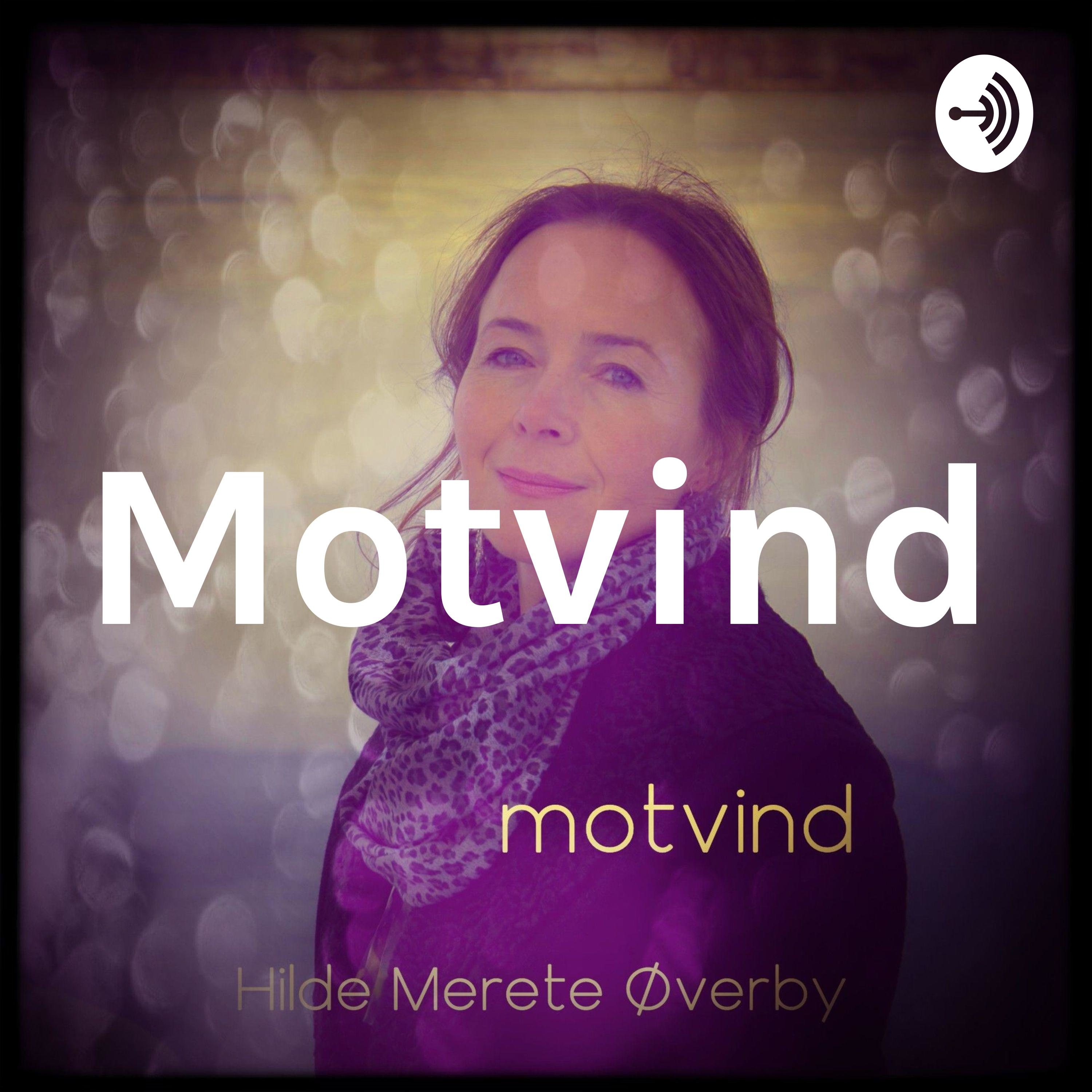 Motvind - og andre historier