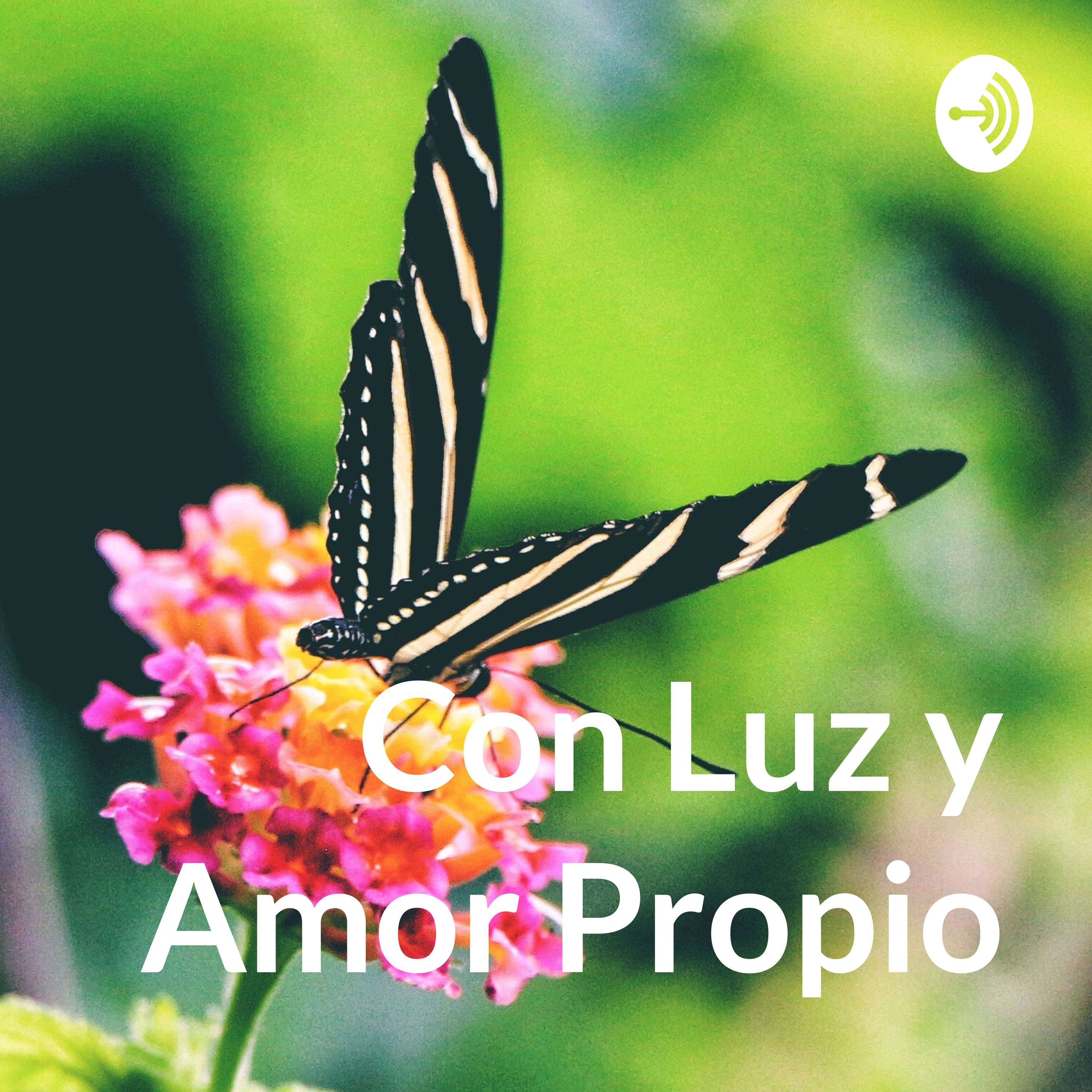 Con Luz y Amor Propio