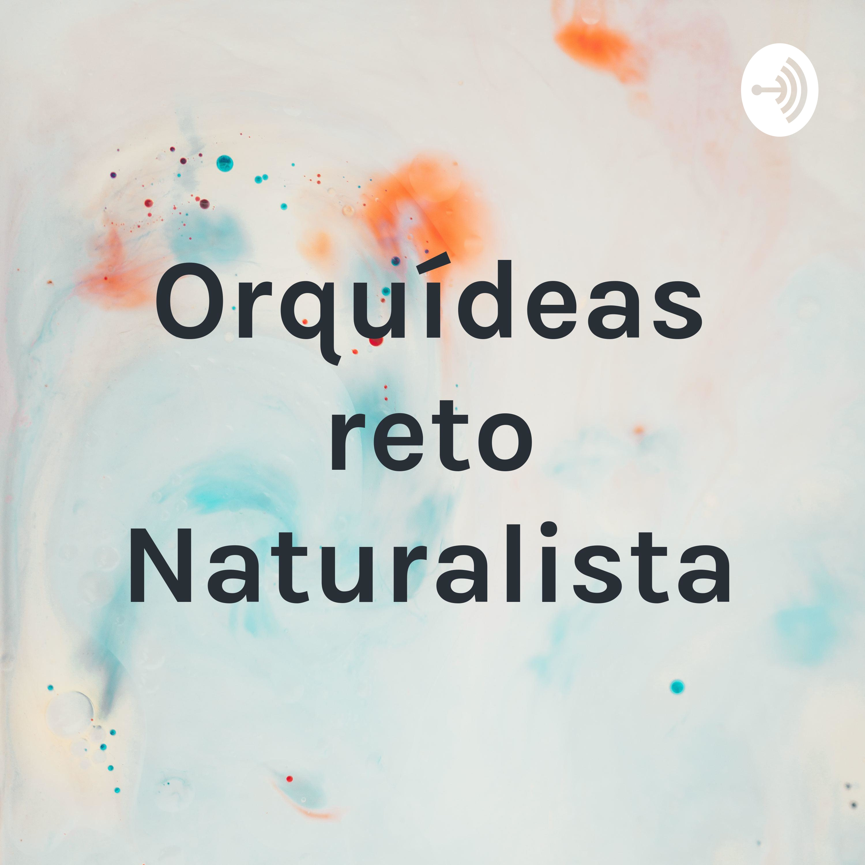 Orquídeas reto Naturalista