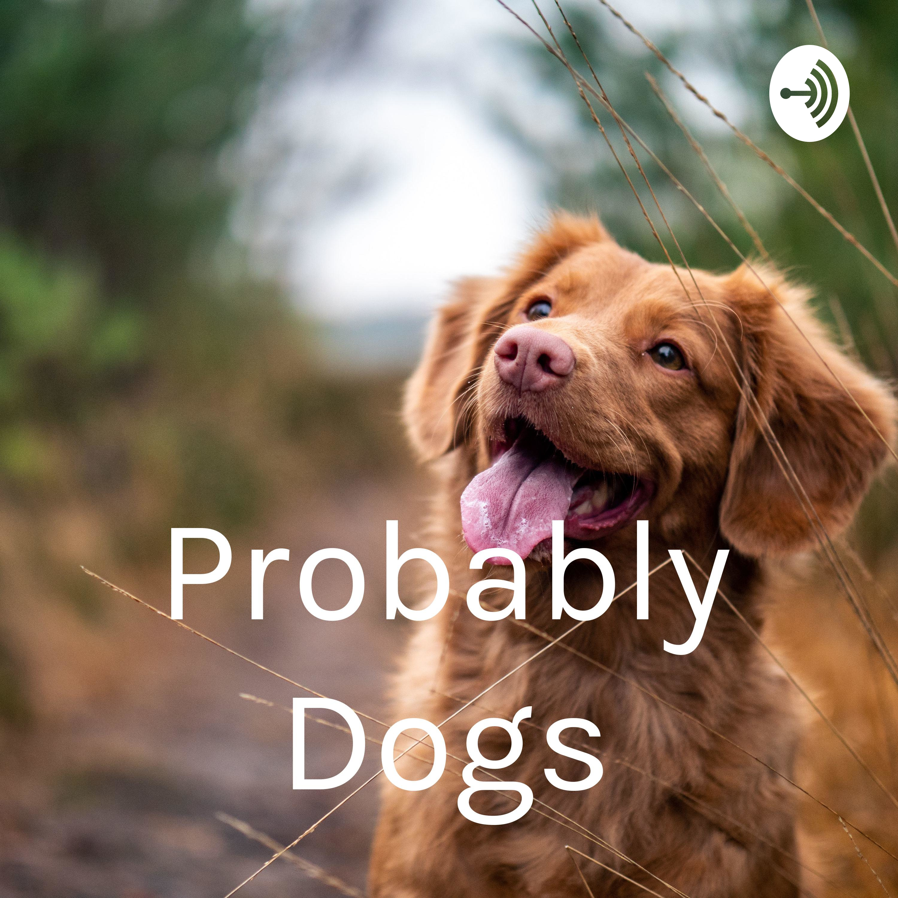 Episode 104: Does The Way We Talk To Ourselves Affect Our Dogs?