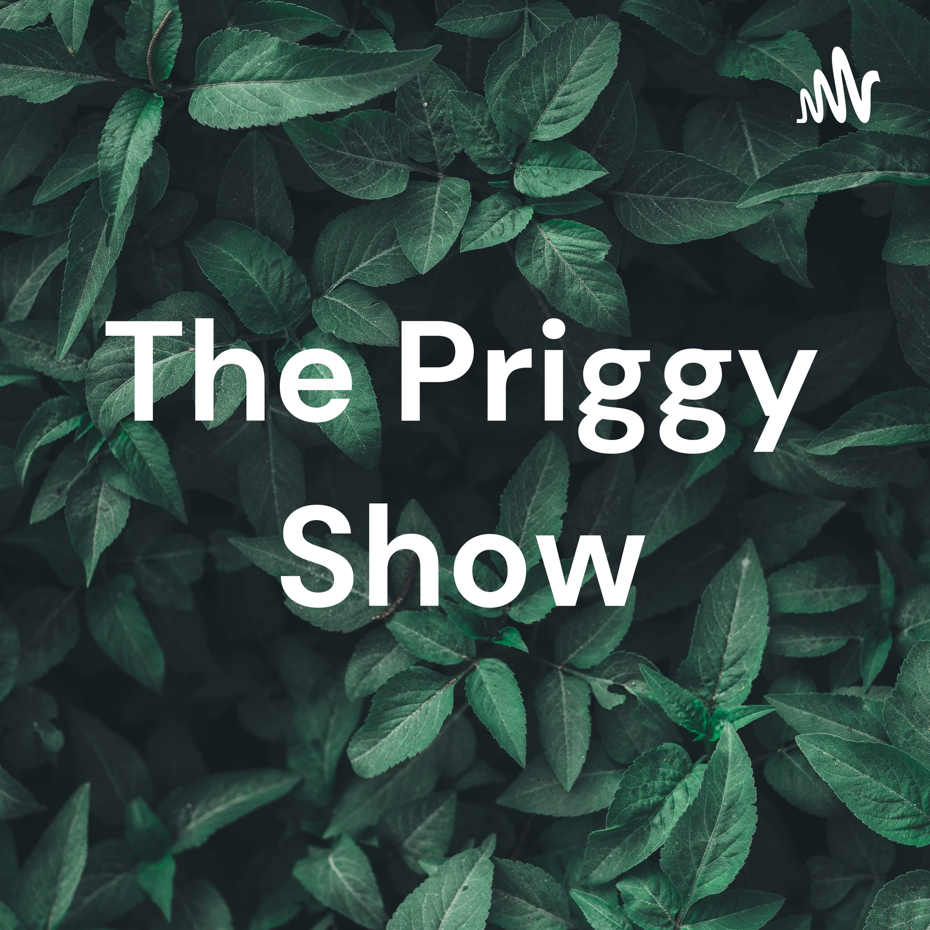 The Priggy Show podcast artwork