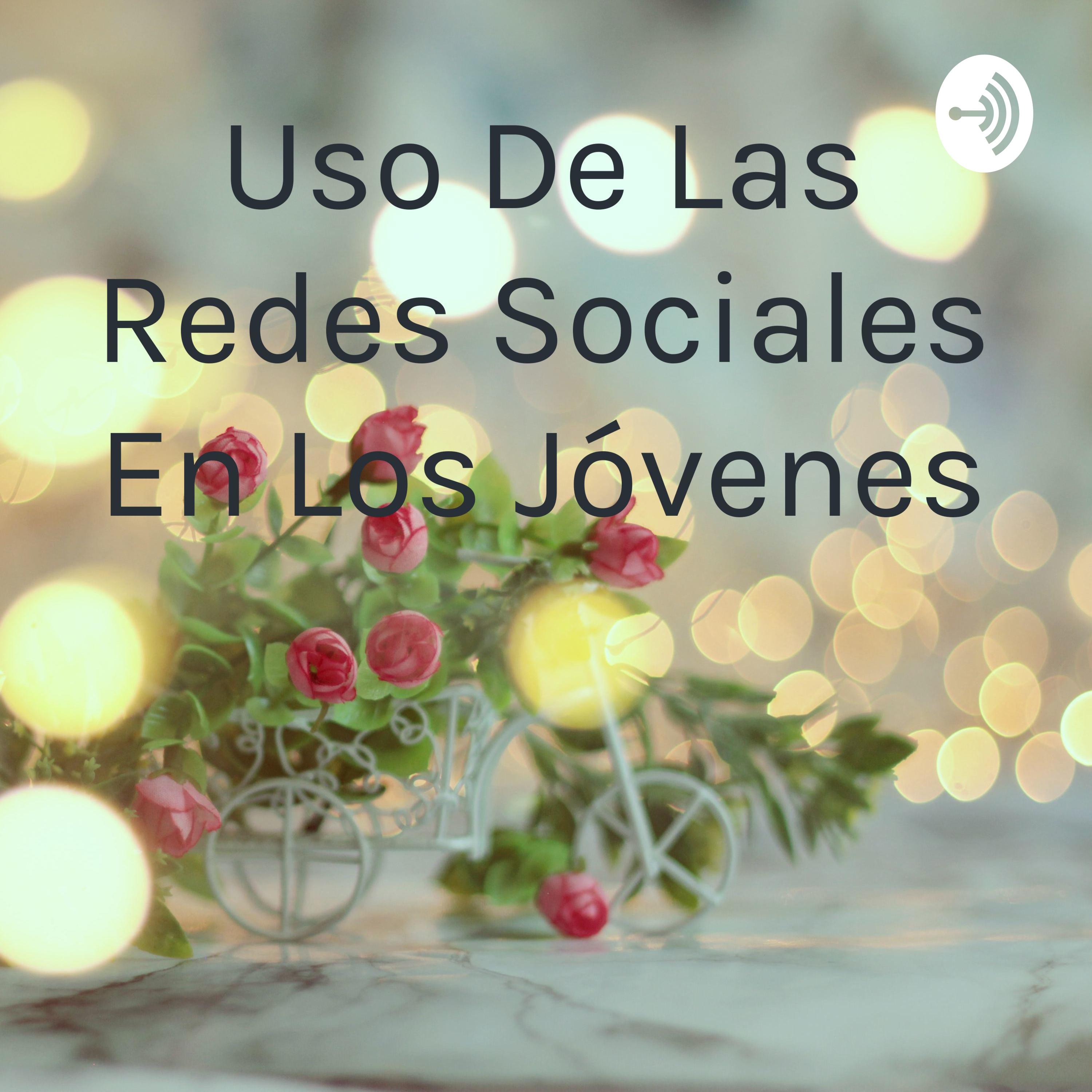 Uso de las redes sociales en los s jóvenes