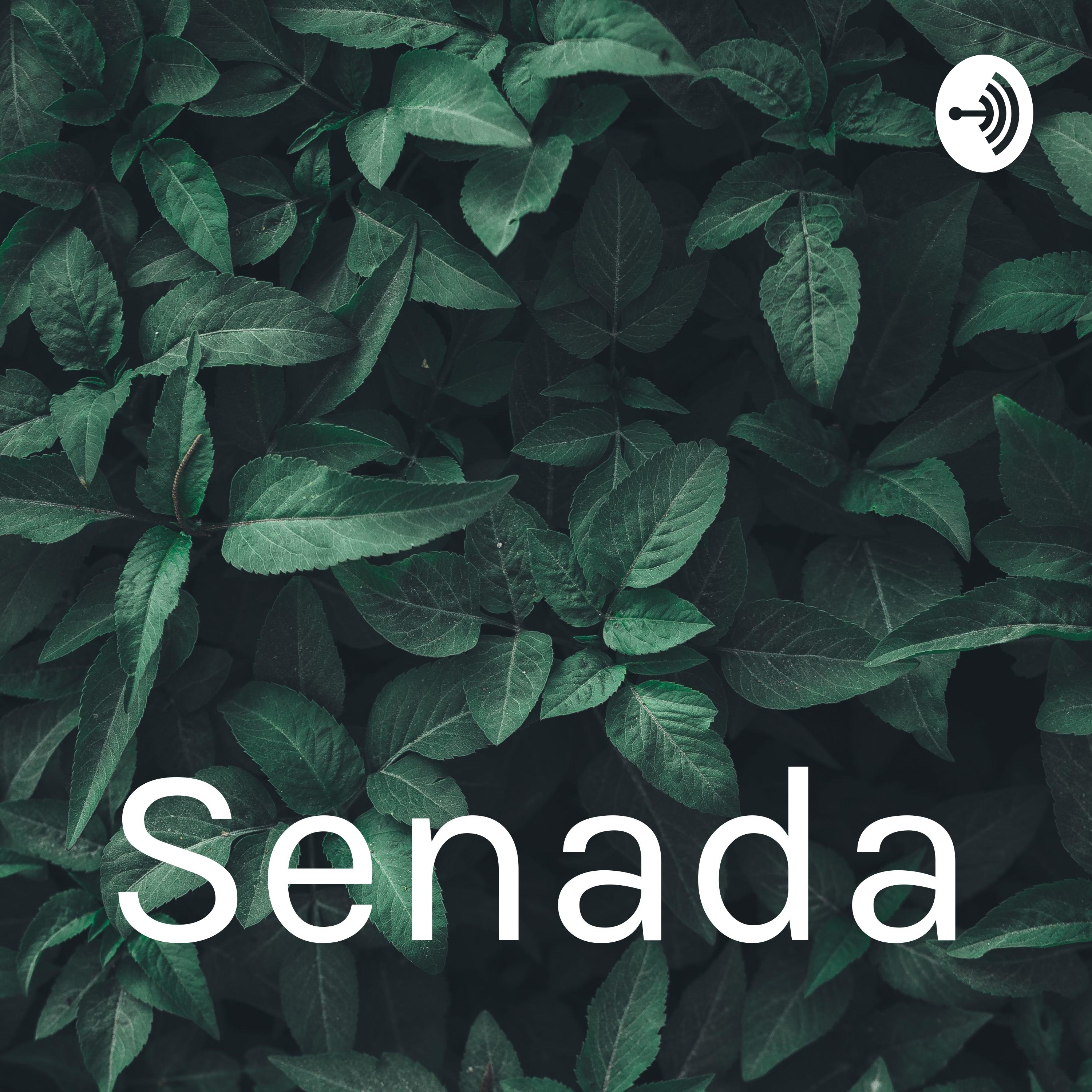 Senada