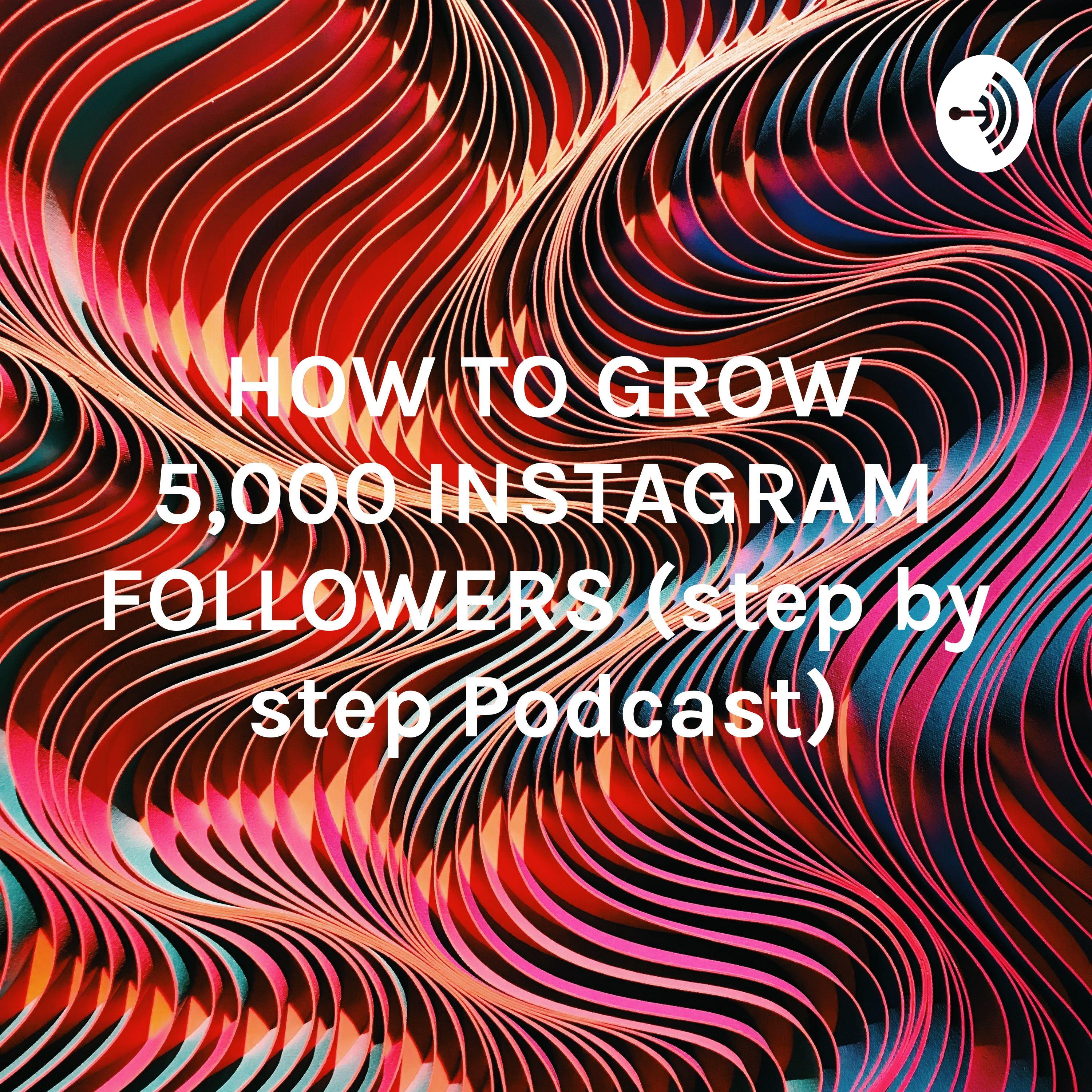 HOW TO GROW 5,000 INSTAGRAM FOLLOWERS (step by step Podcast)