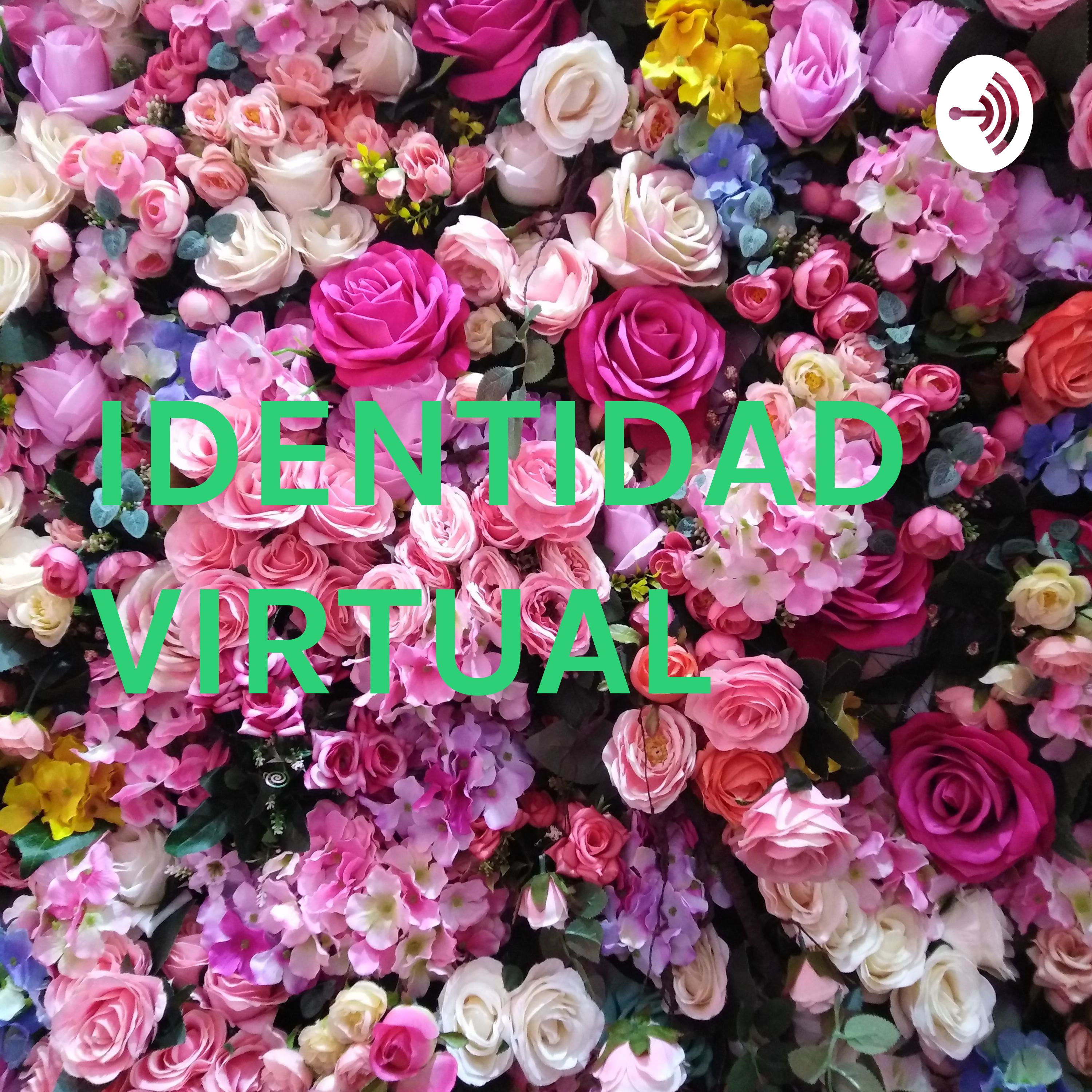 IDENTIDAD VIRTUAL