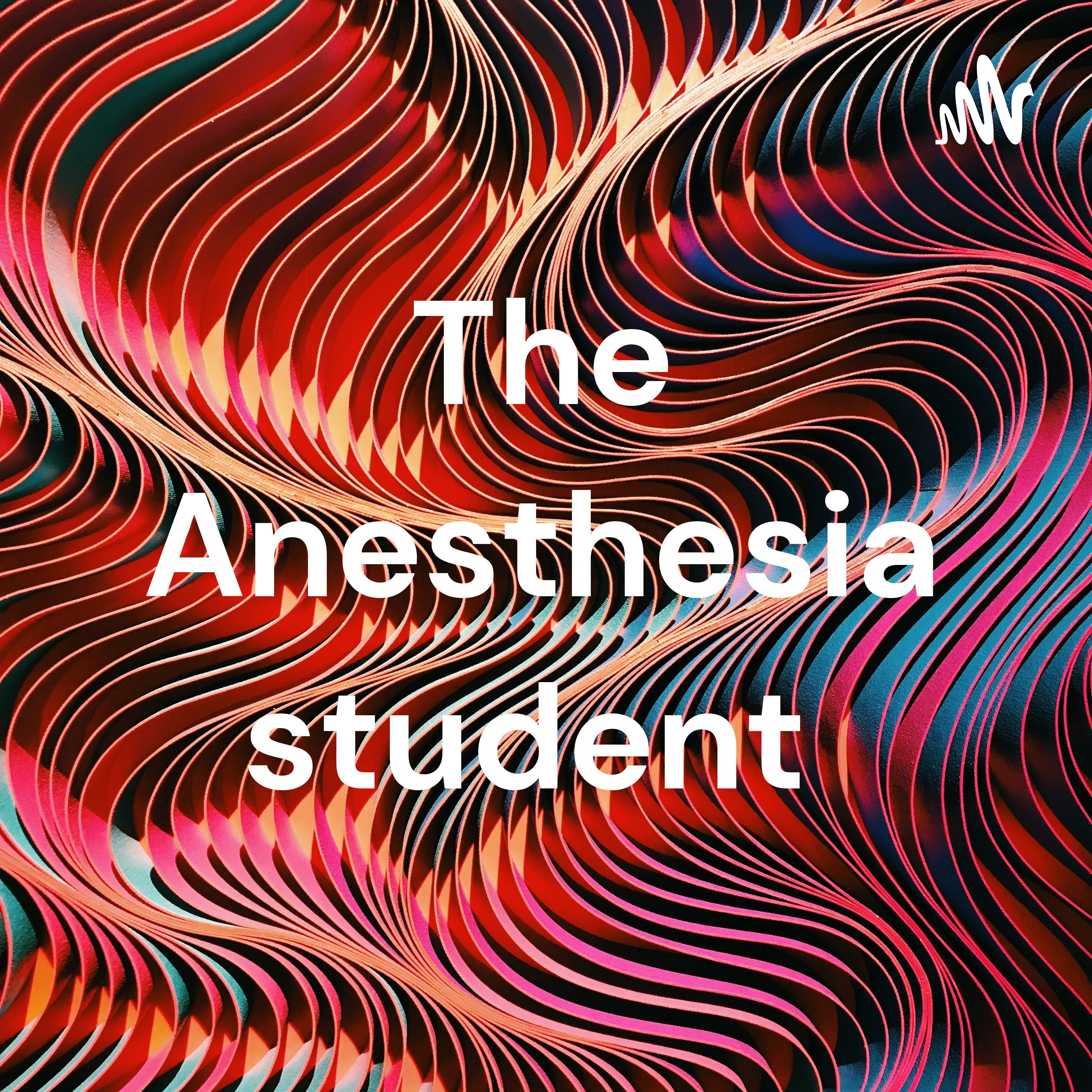what-patient-s-ask-me-in-pre-anesthesia-check-up-by-the-anesthesia-student