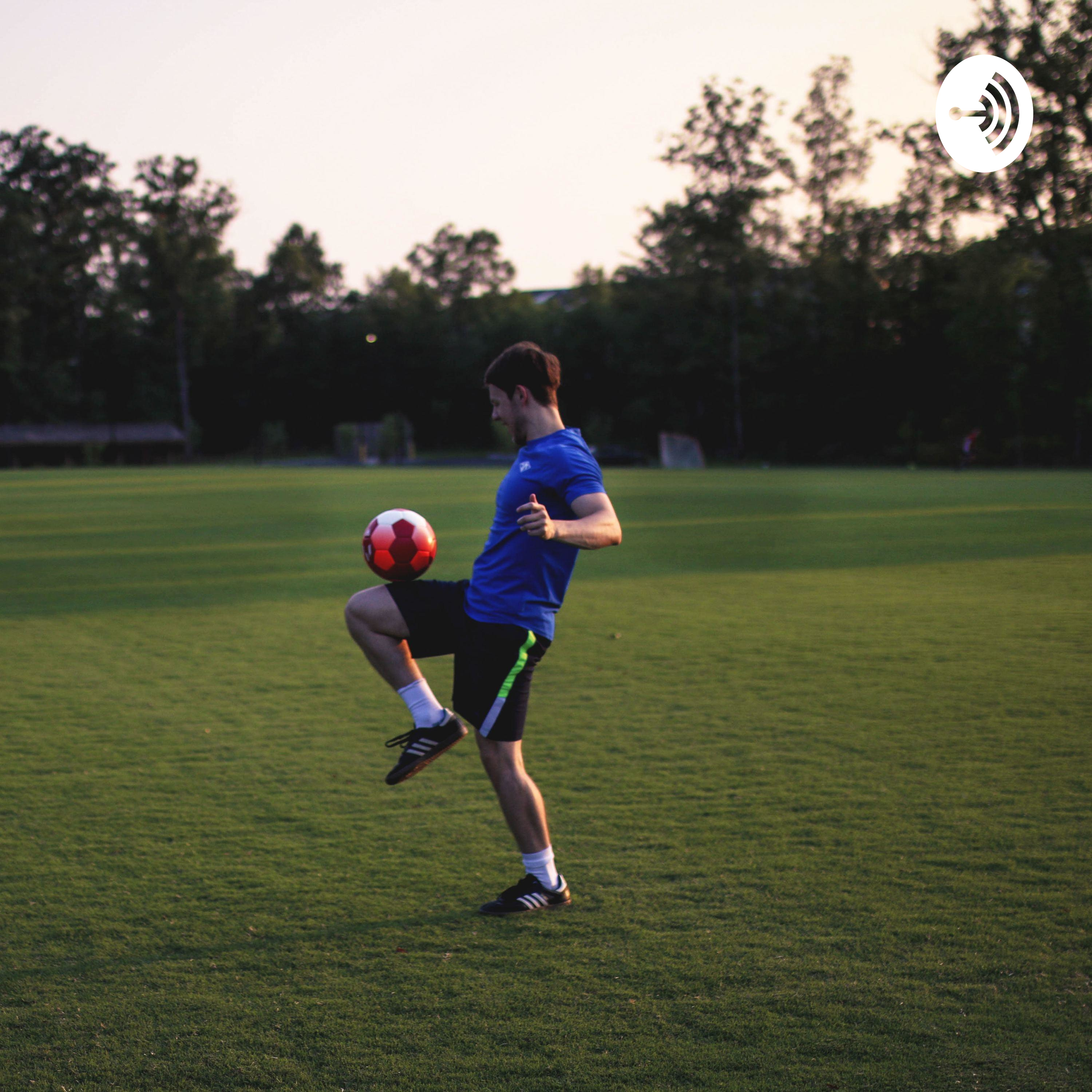 Bienvenida Vamos bravos