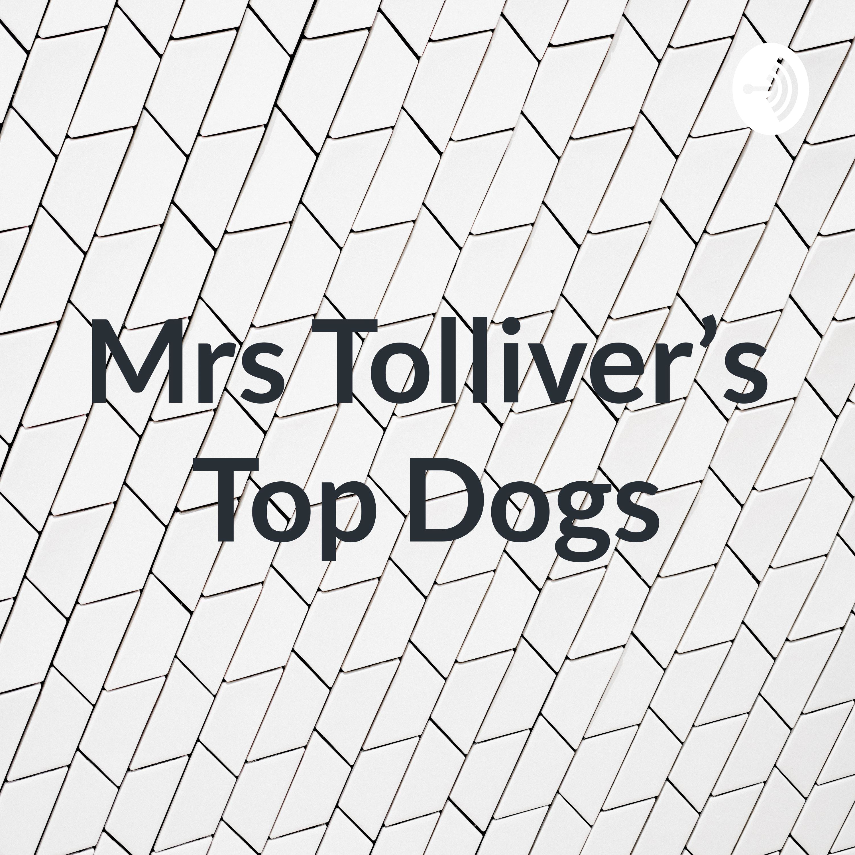 Mrs Tolliver’s Top Dogs