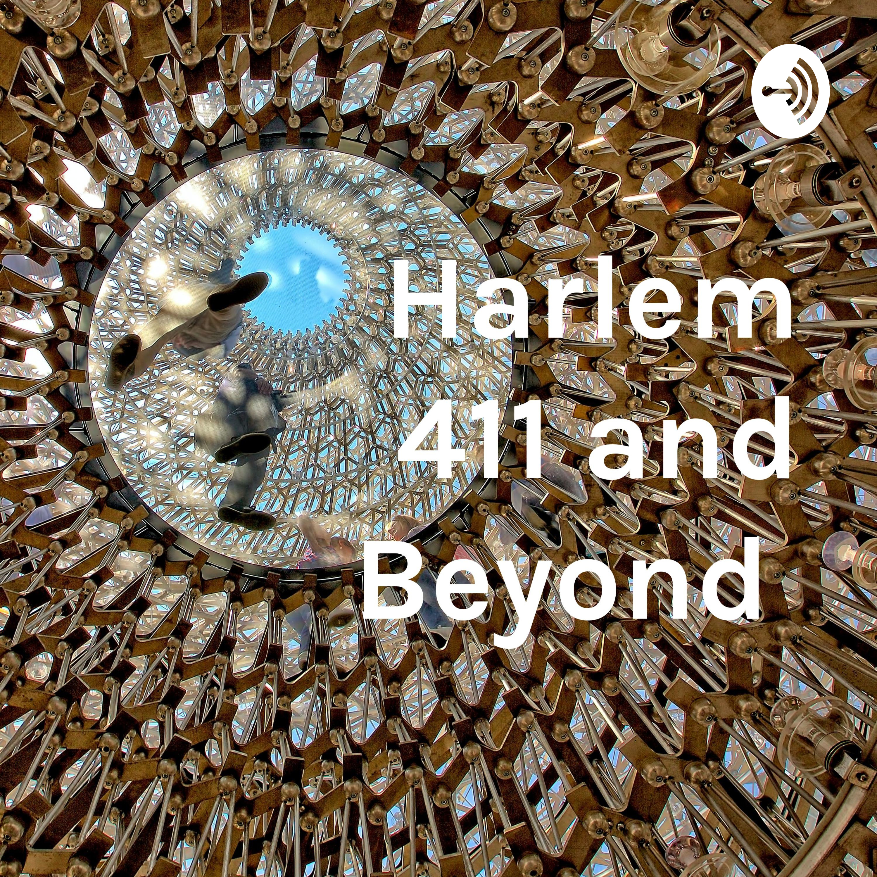 Harlem 411 and Beyond 