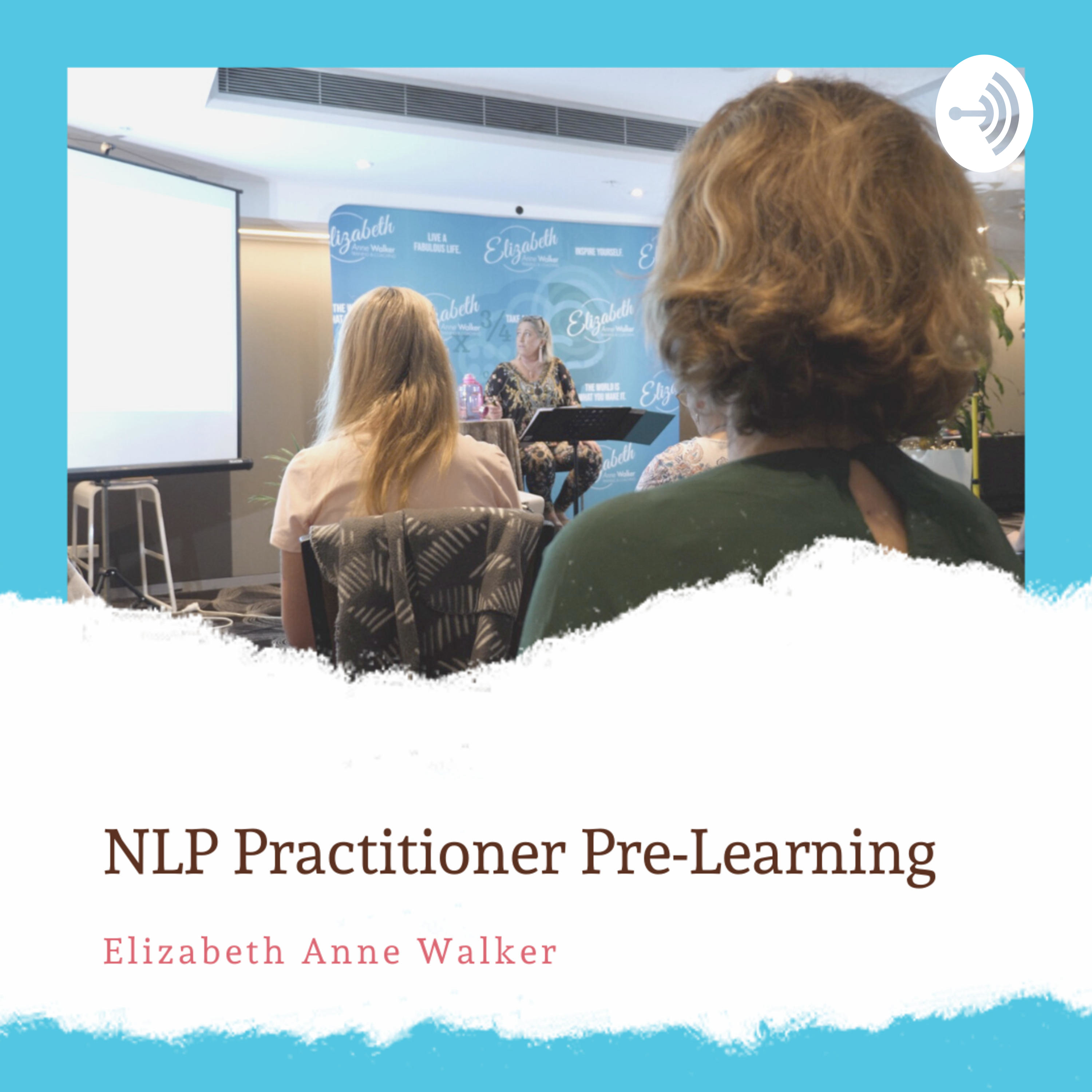 NLP Practitioner Content
