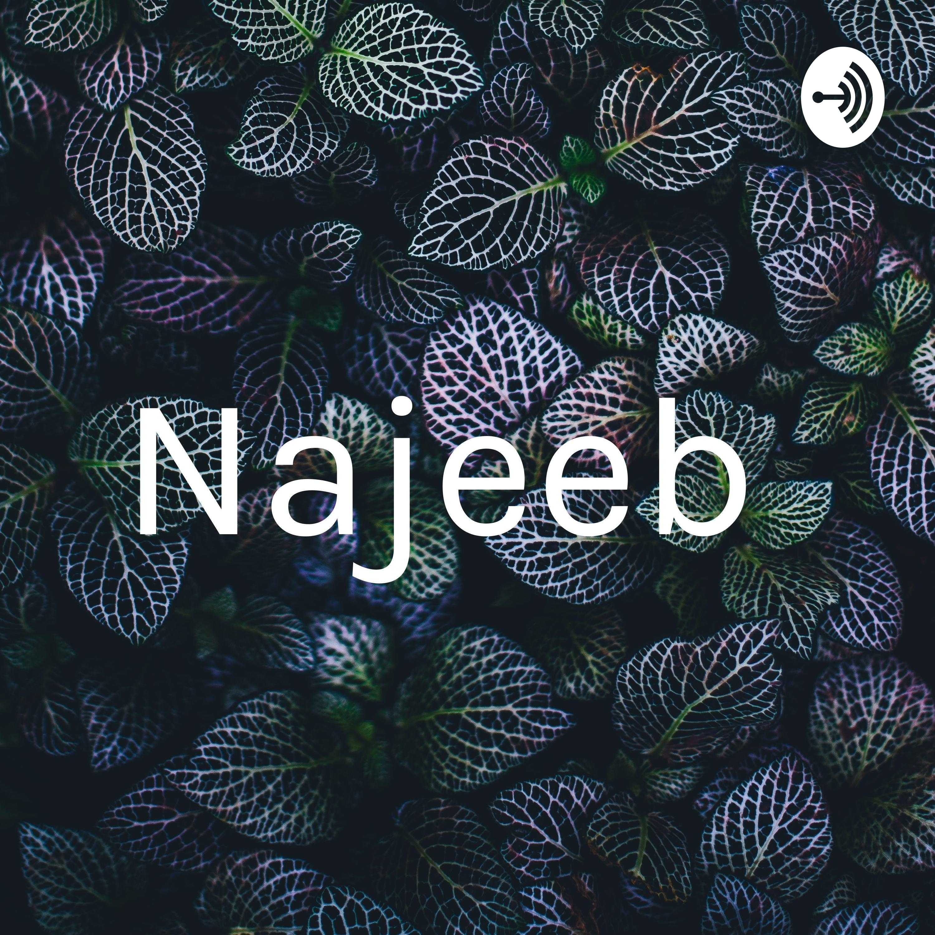 Najeeb 