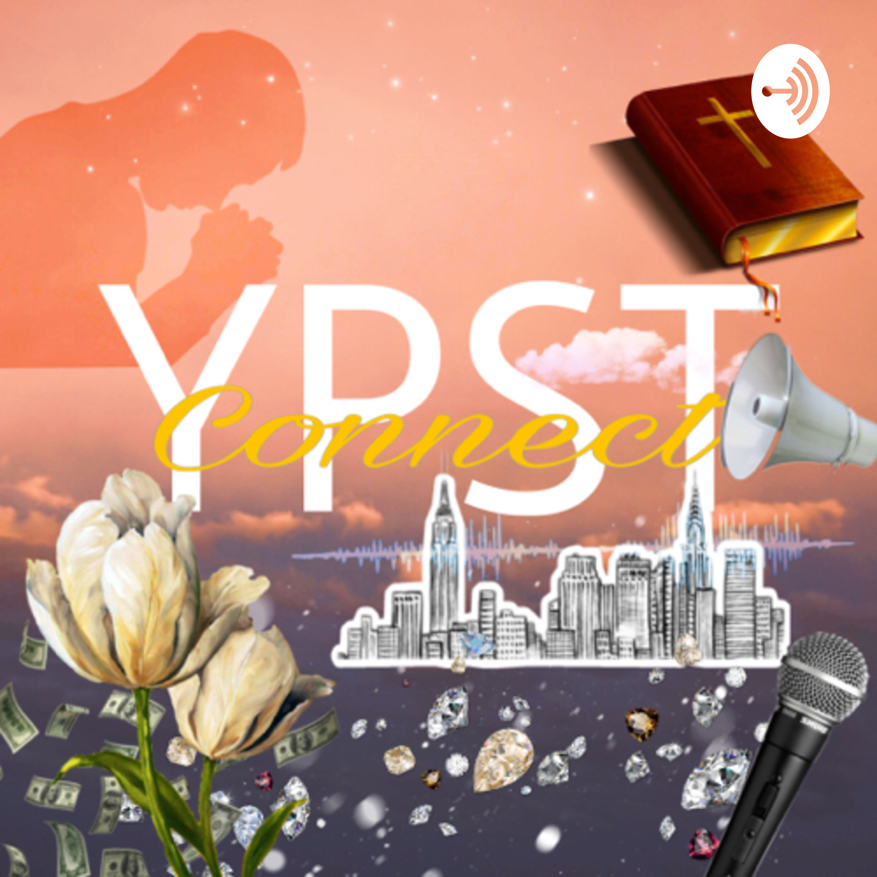 YPST Connect 