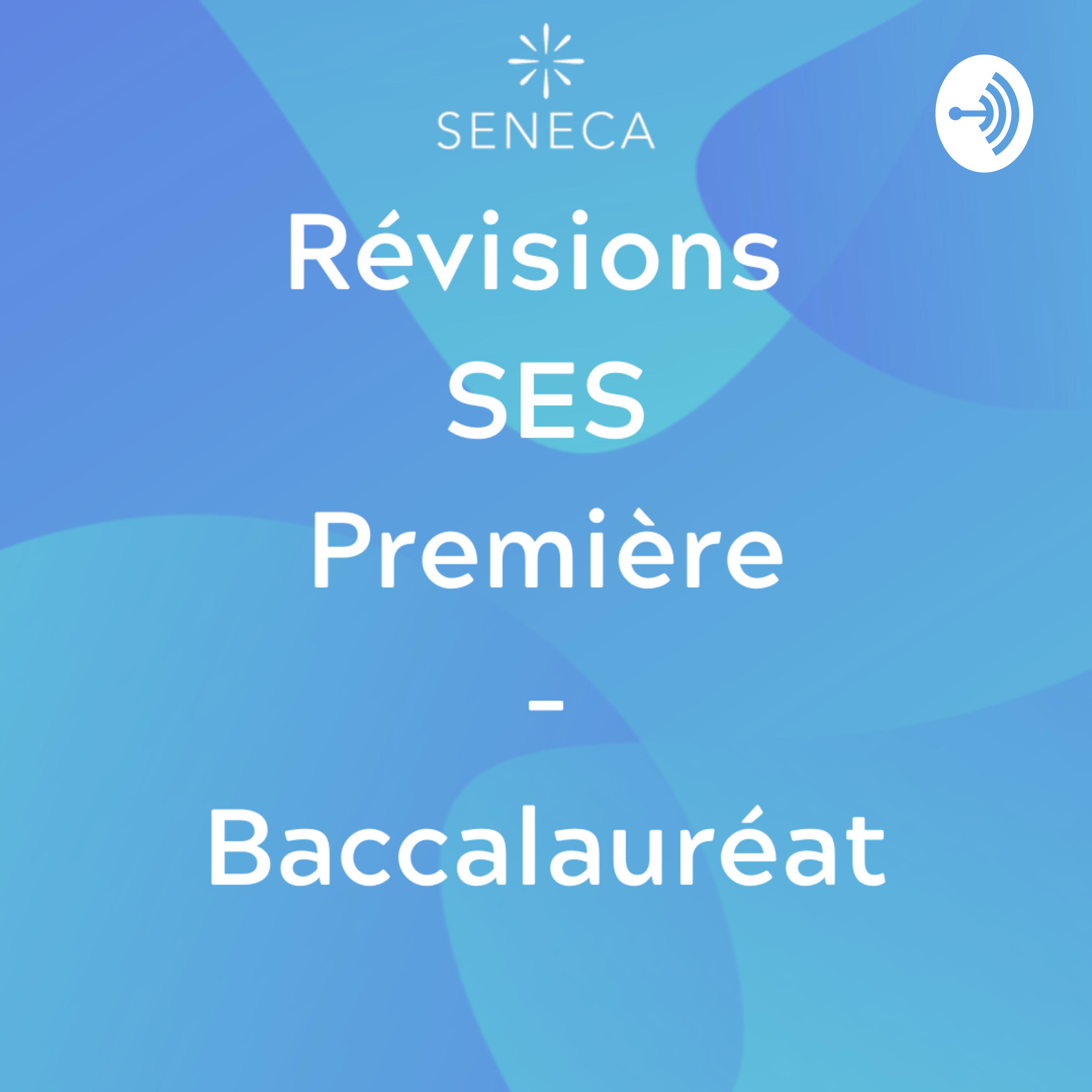 Caractéristiques du marché - SES Première Baccalauréat