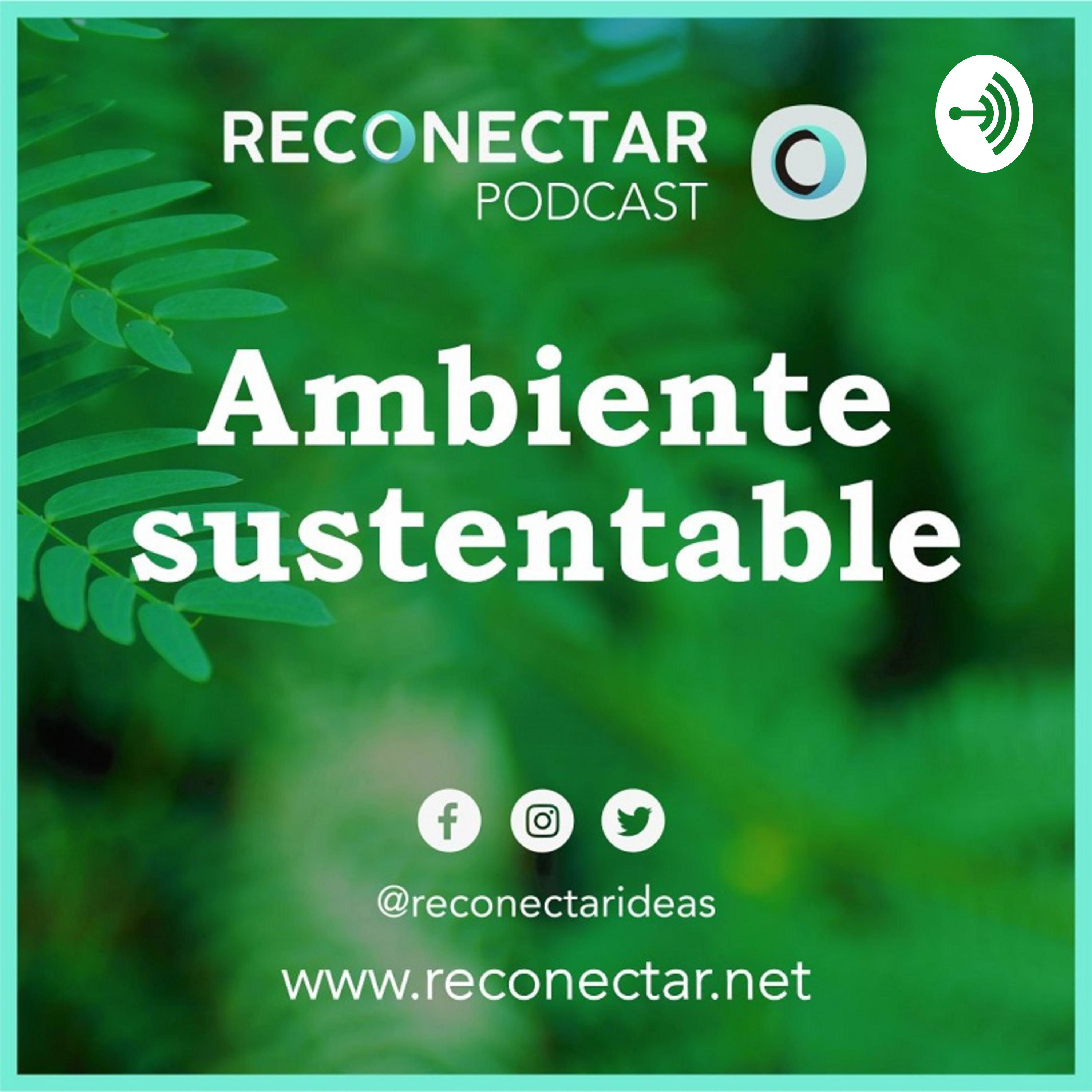 Ambiente sustentable