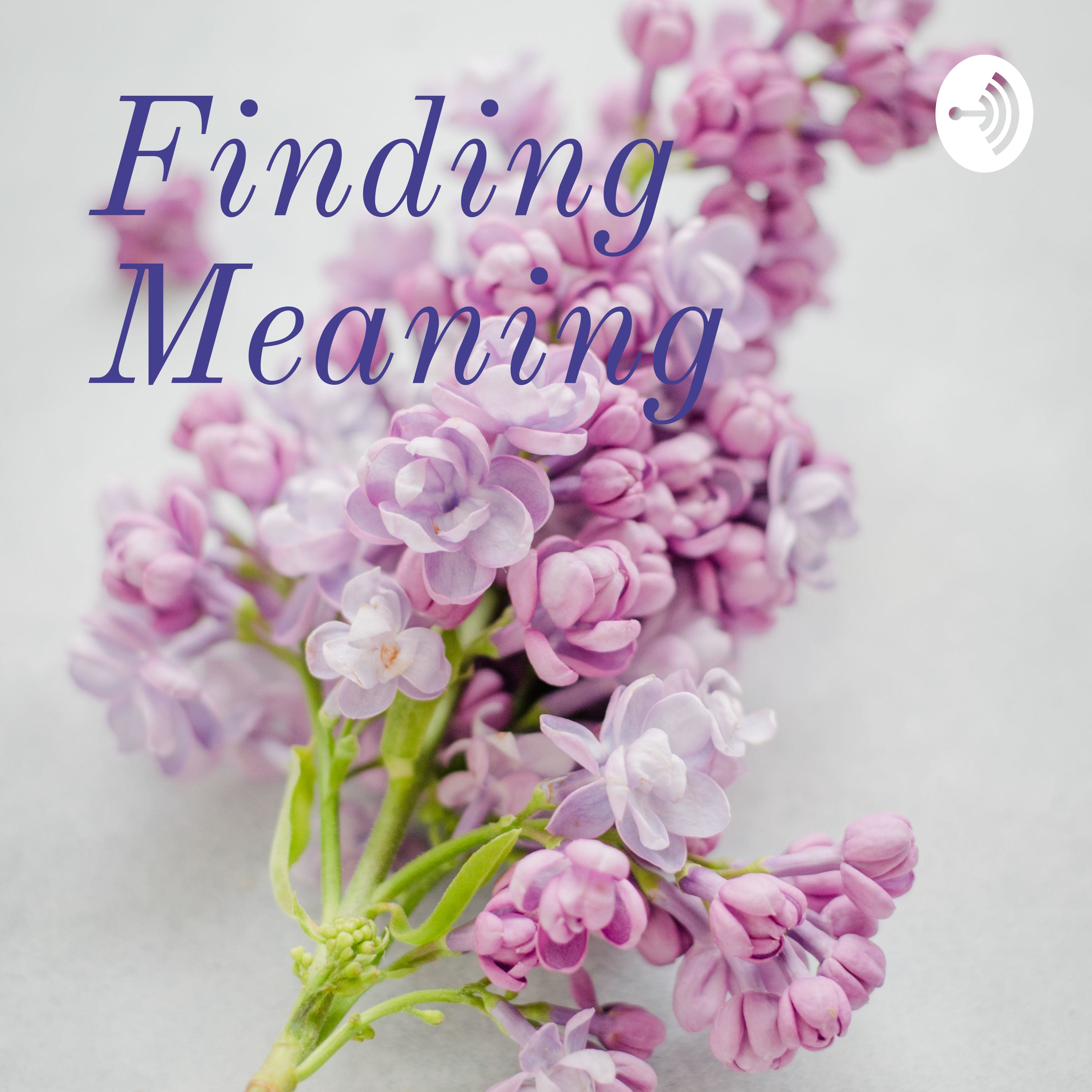 Finding Meaning