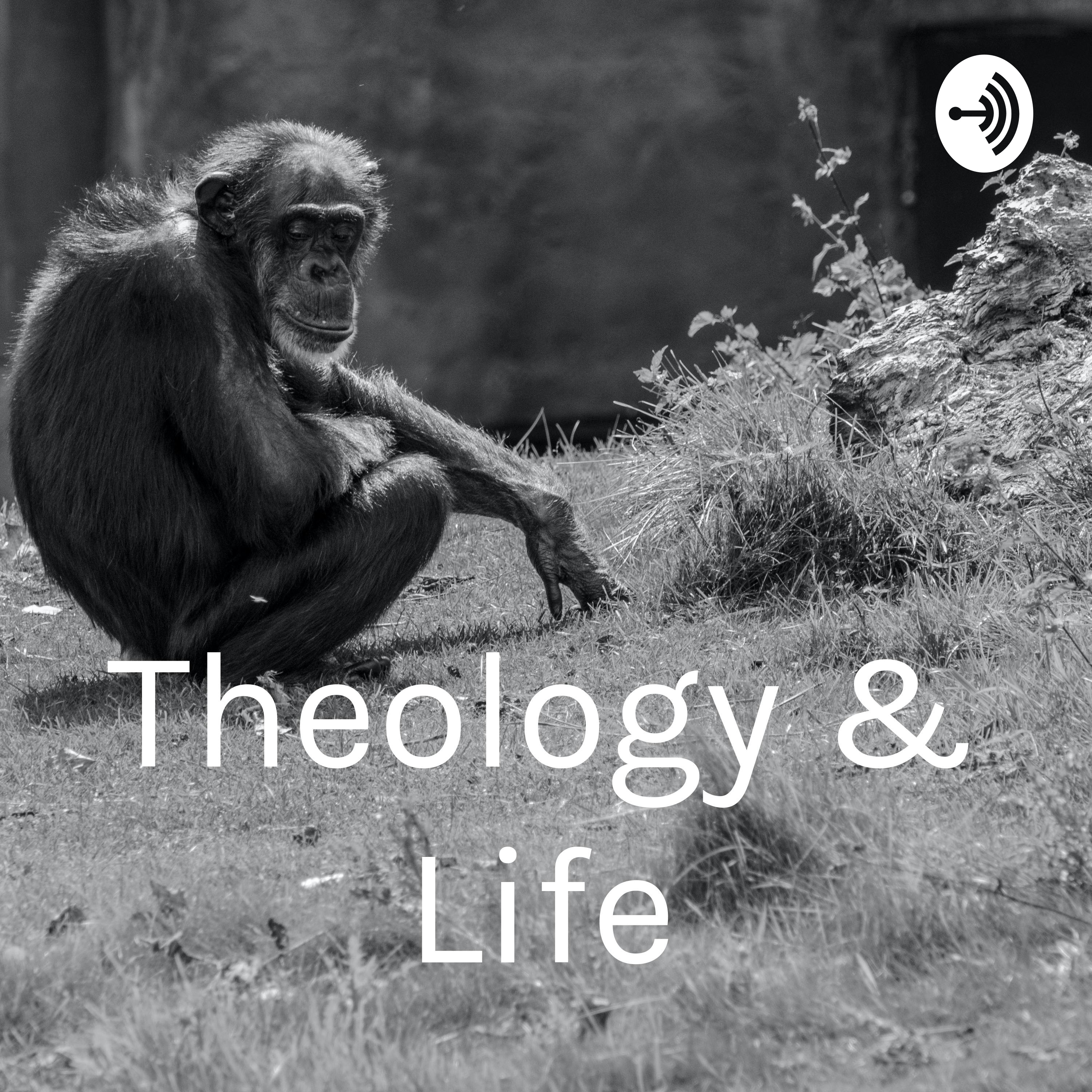 Theology & Life