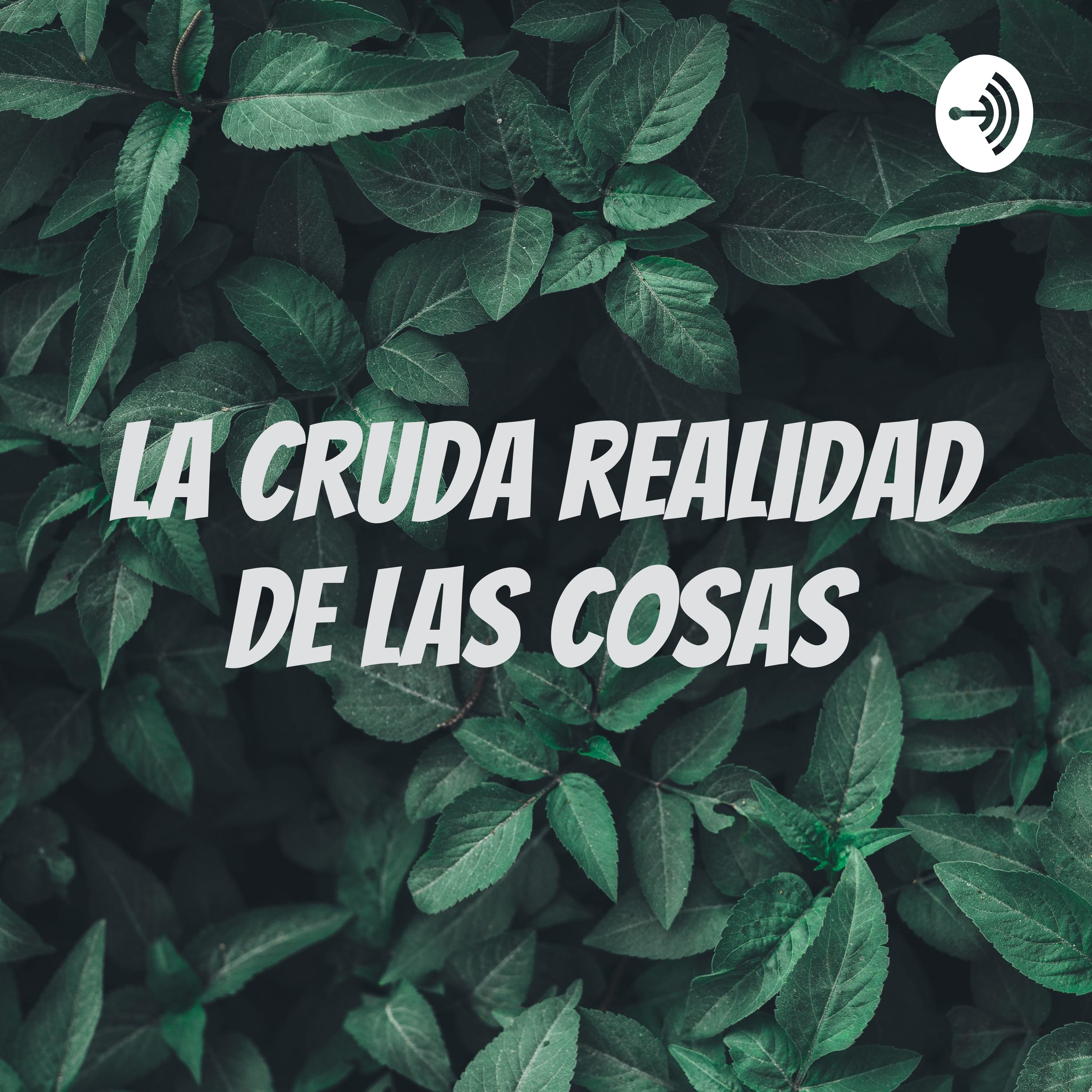 La cruda realidad de las cosas 